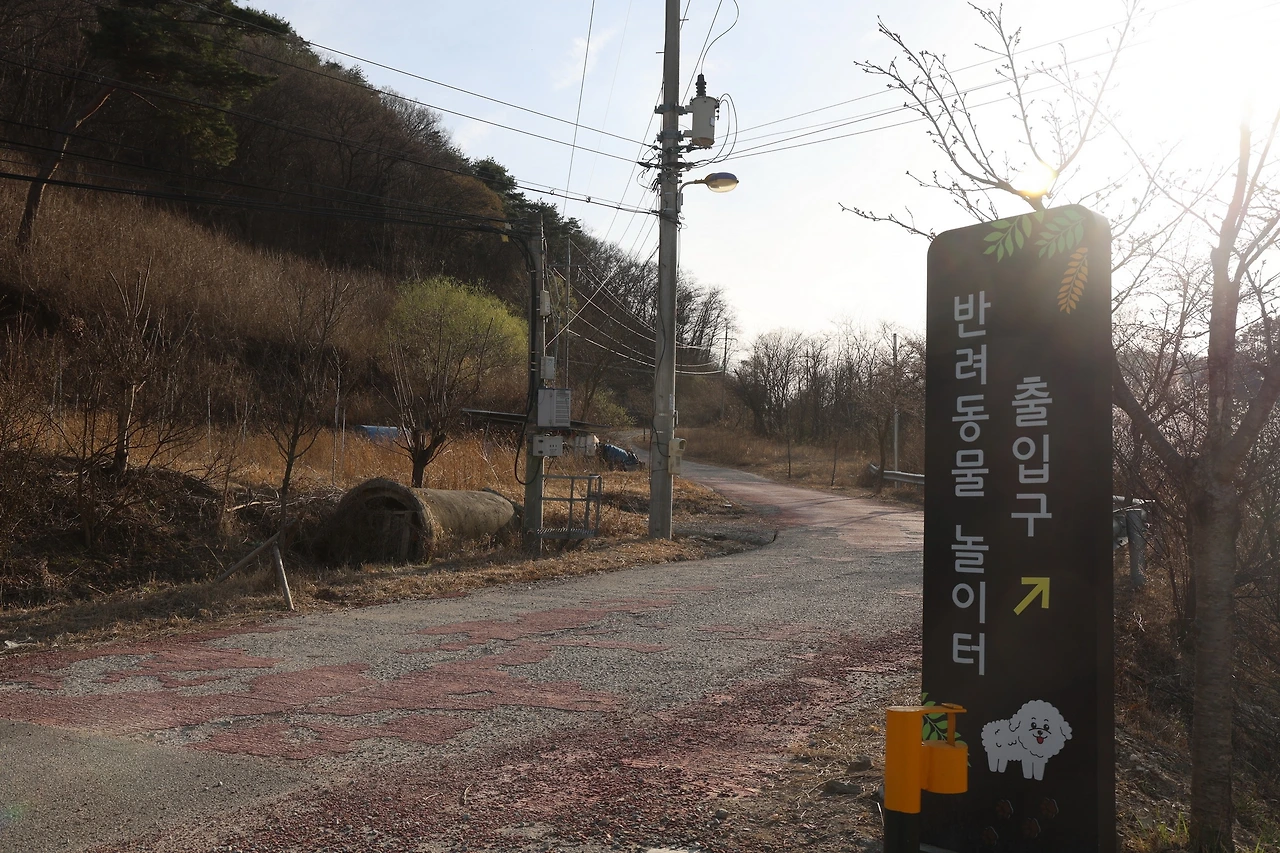 0R5A4878_новый размер.JPG