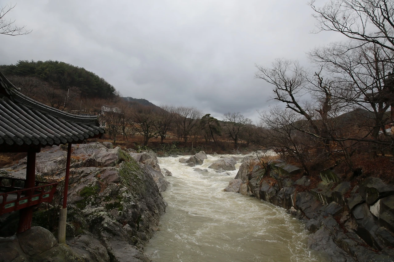 MG0A0315_новый размер.JPG