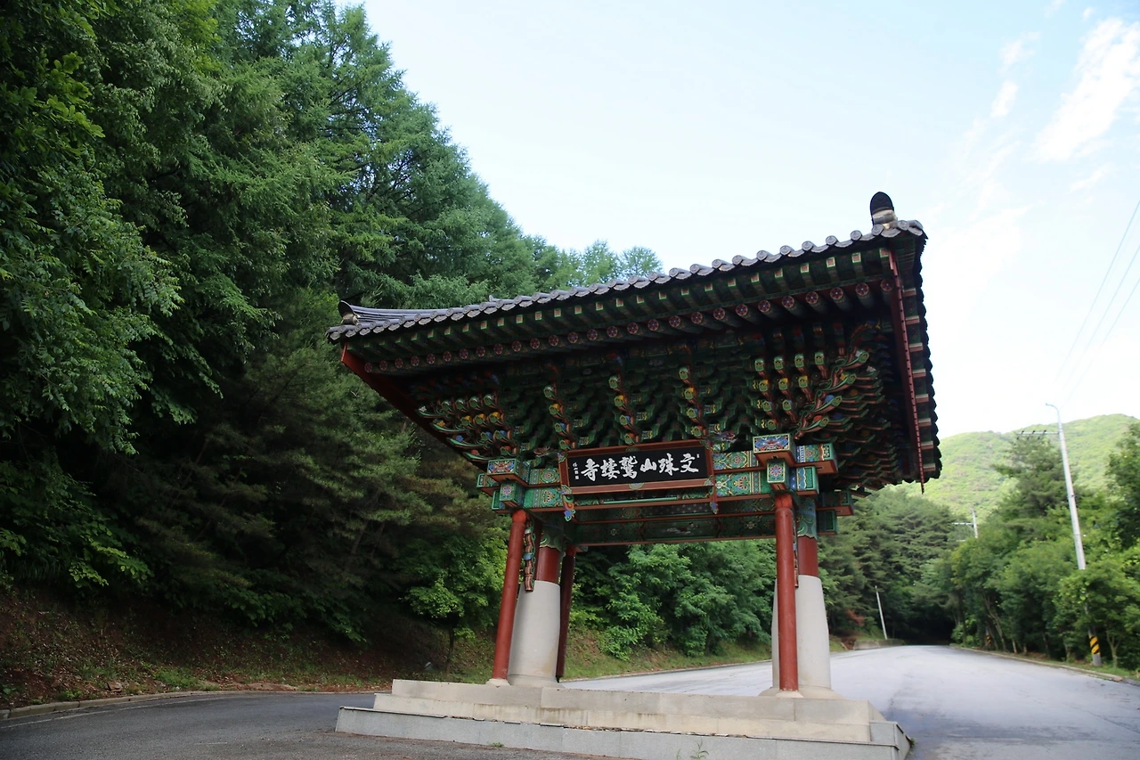 MG0A0492_новый размер.JPG