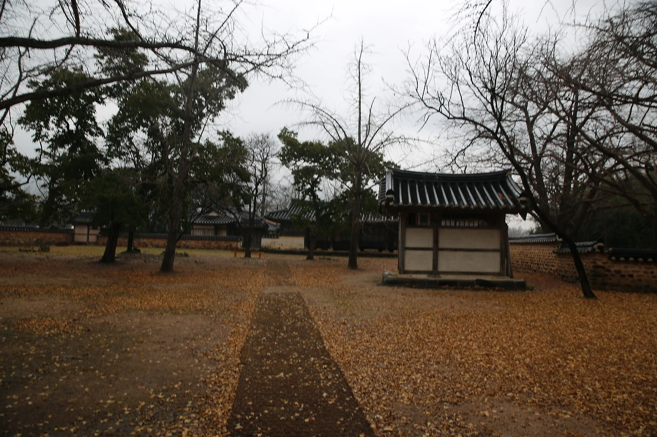 MG0A0855_новый размер.JPG