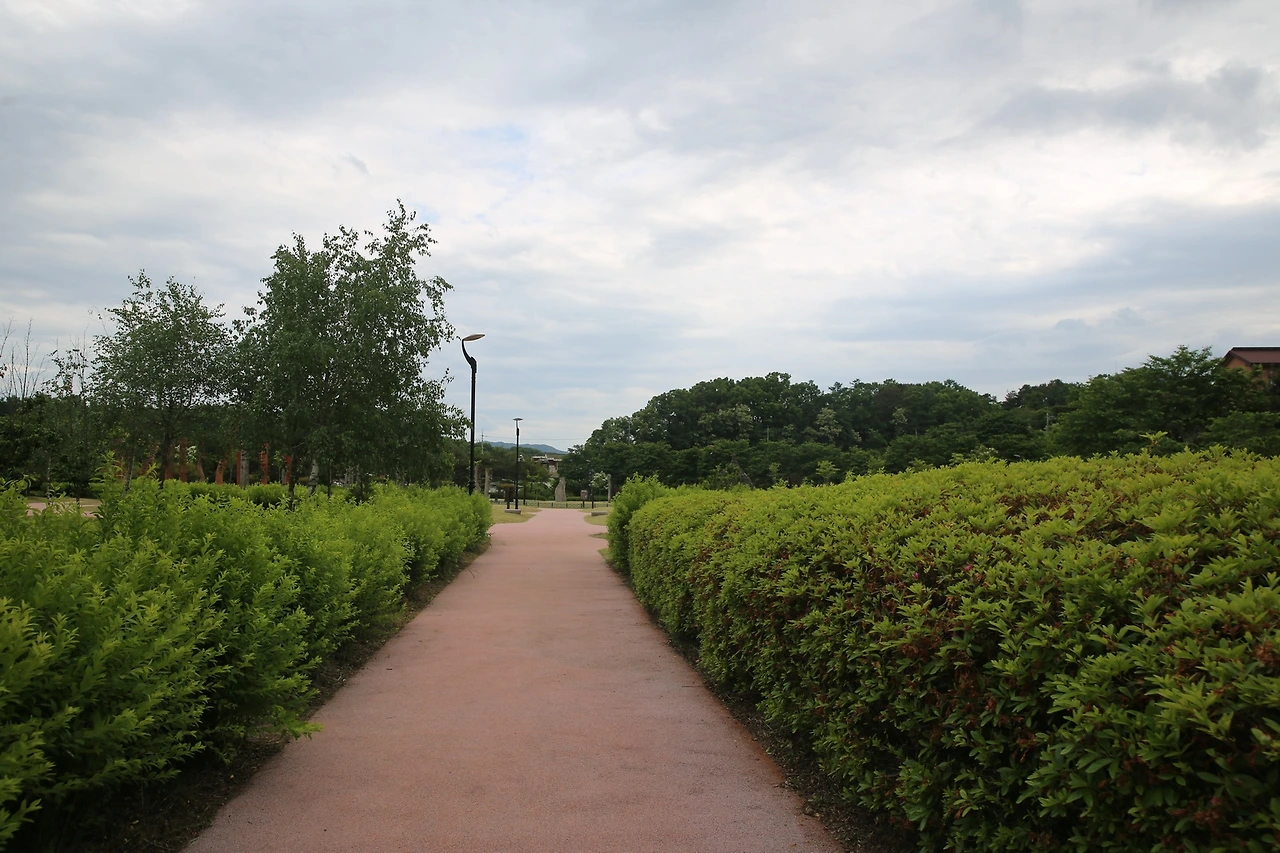 MG0A3368_новый размер.JPG