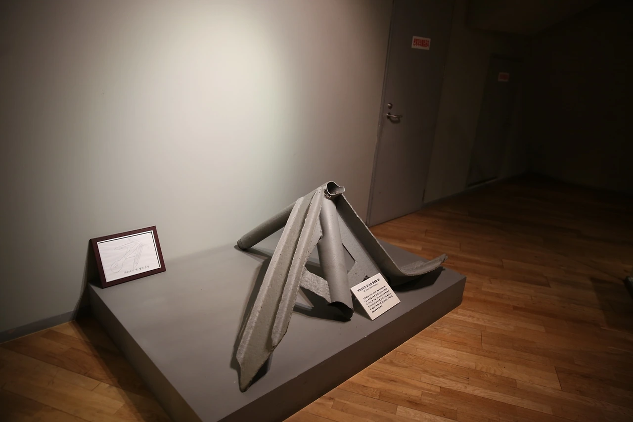 MG0A1049_новый размер.JPG