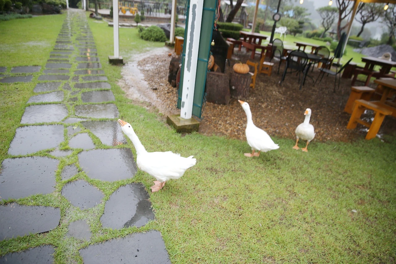 MG0A3265_новый размер_exposure.JPG