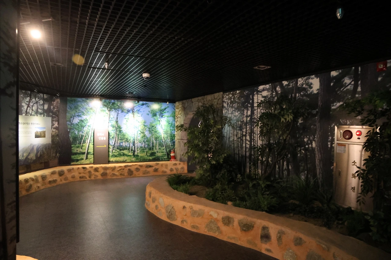 0R5A7246_новый размер.JPG