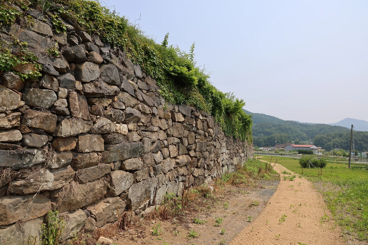 0R5A3577_новый размер.JPG