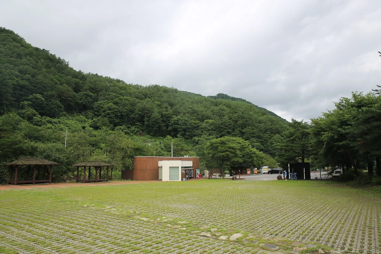 MG0A6418_новый размер.JPG