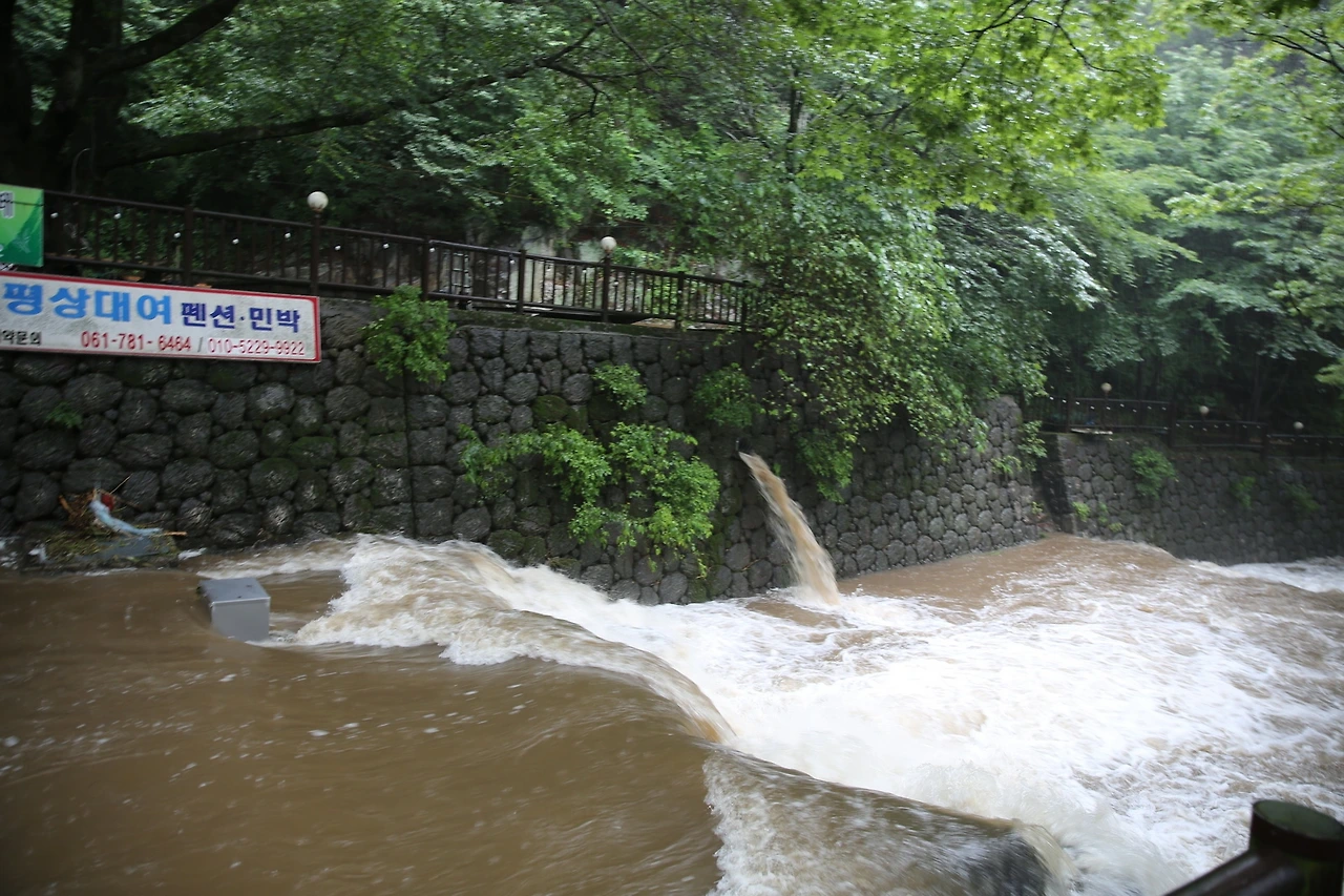 MG0A3349_новый размер.JPG