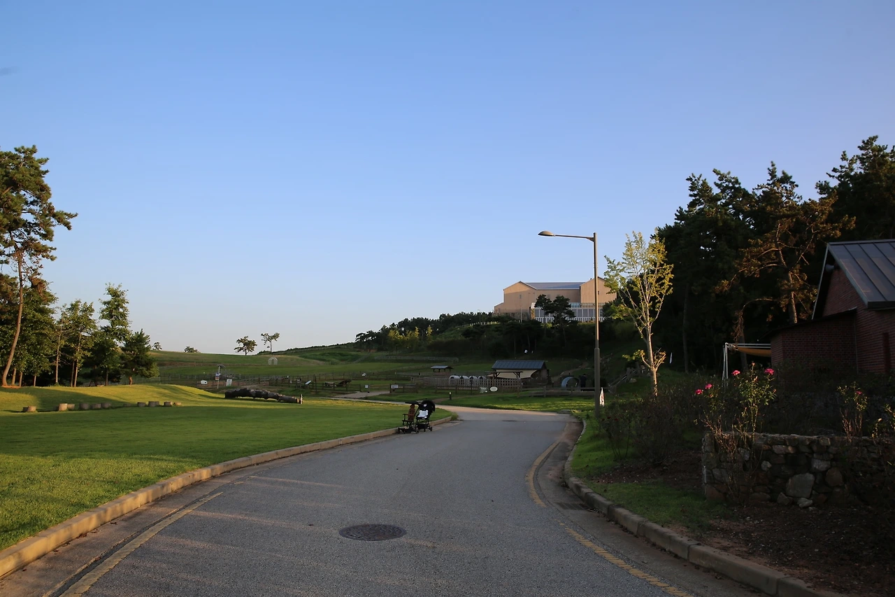 MG0A1406_новый размер.JPG