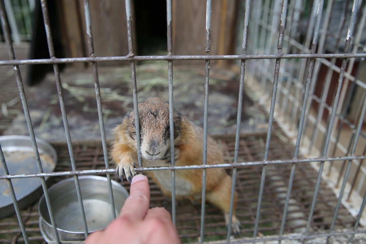 MG0A1118_новый размер.JPG