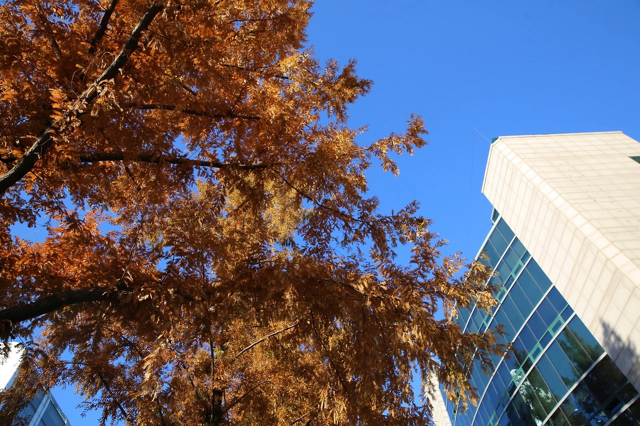 MG0A1508_новый размер.JPG