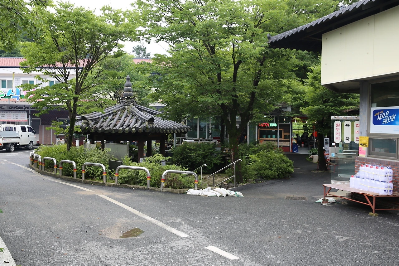 MG0A6523_новый размер.JPG