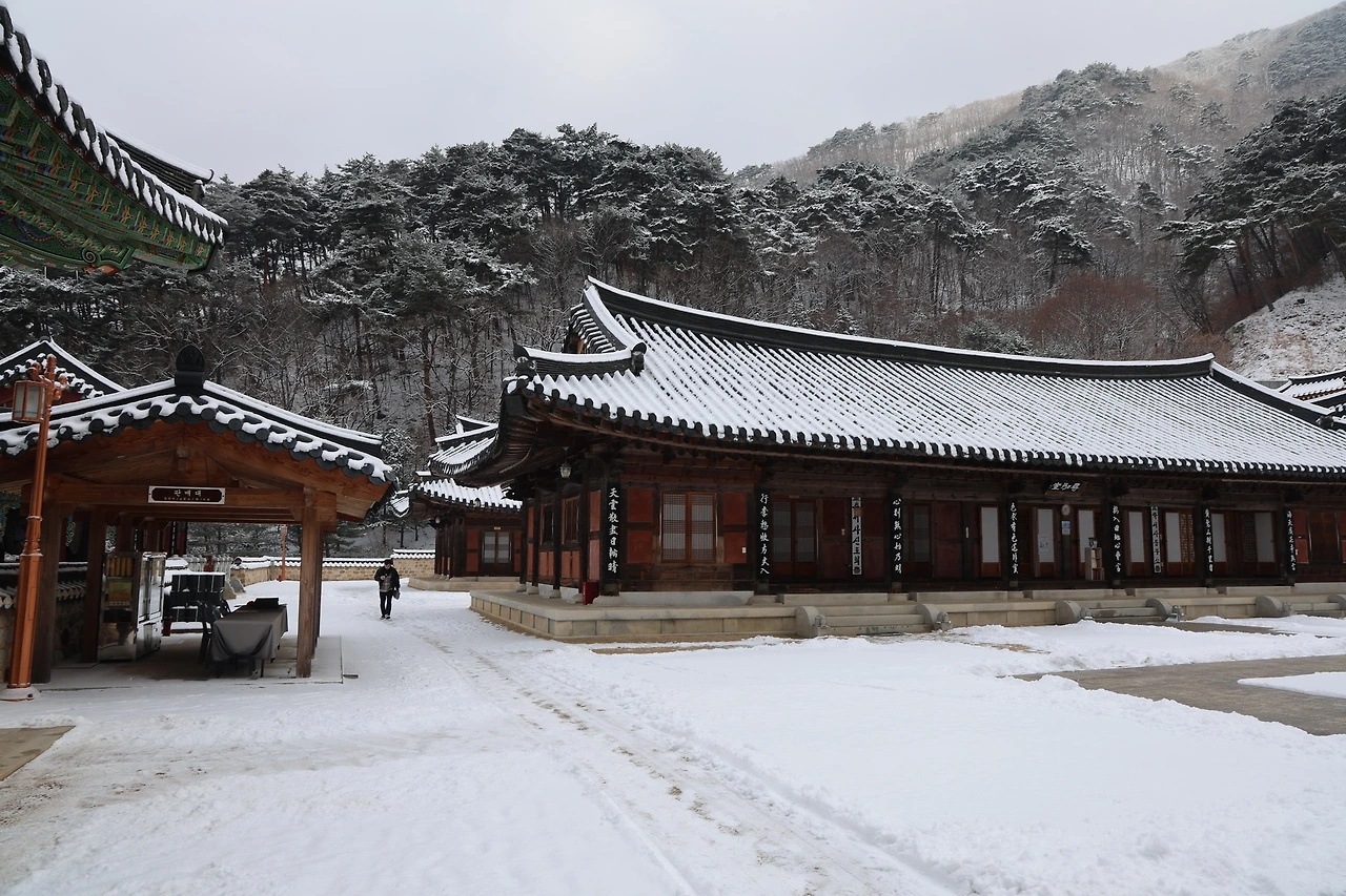 0R5A3169_новый размер.JPG