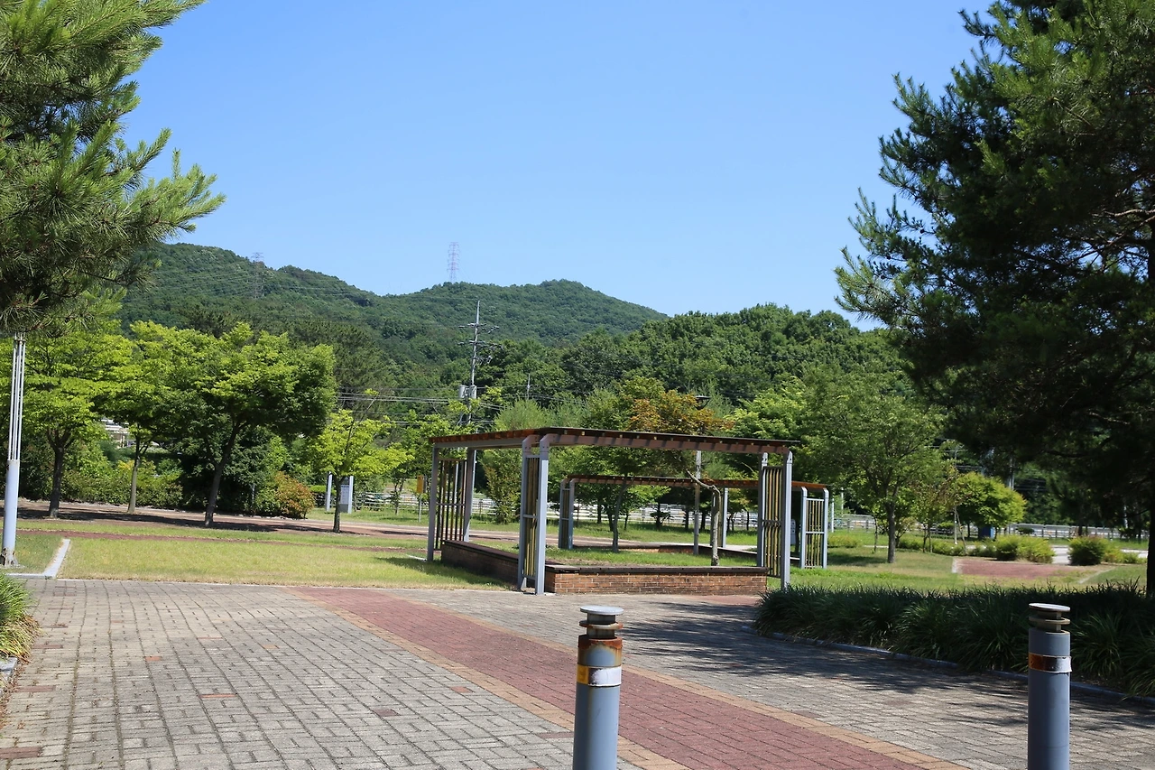 MG0A8857_новый размер.JPG