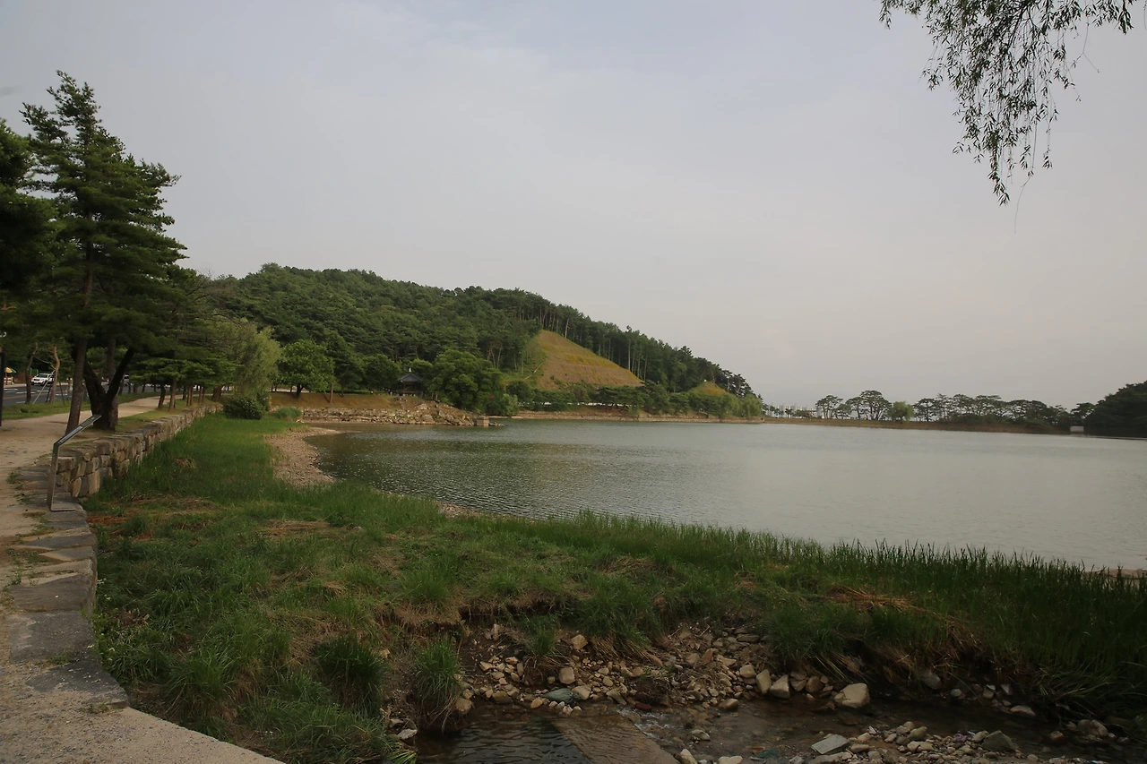 MG0A1196_новый размер.JPG