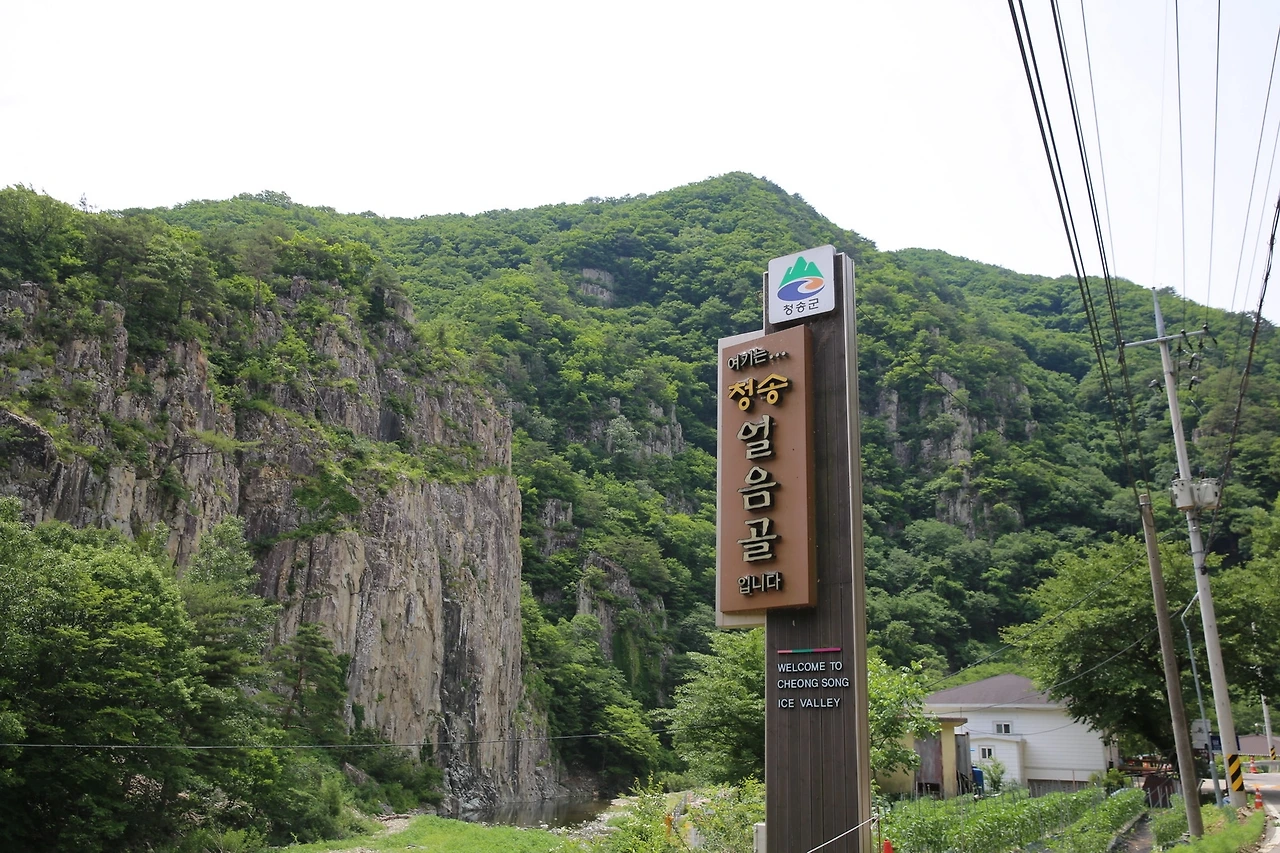 MG0A8499_новый размер.JPG