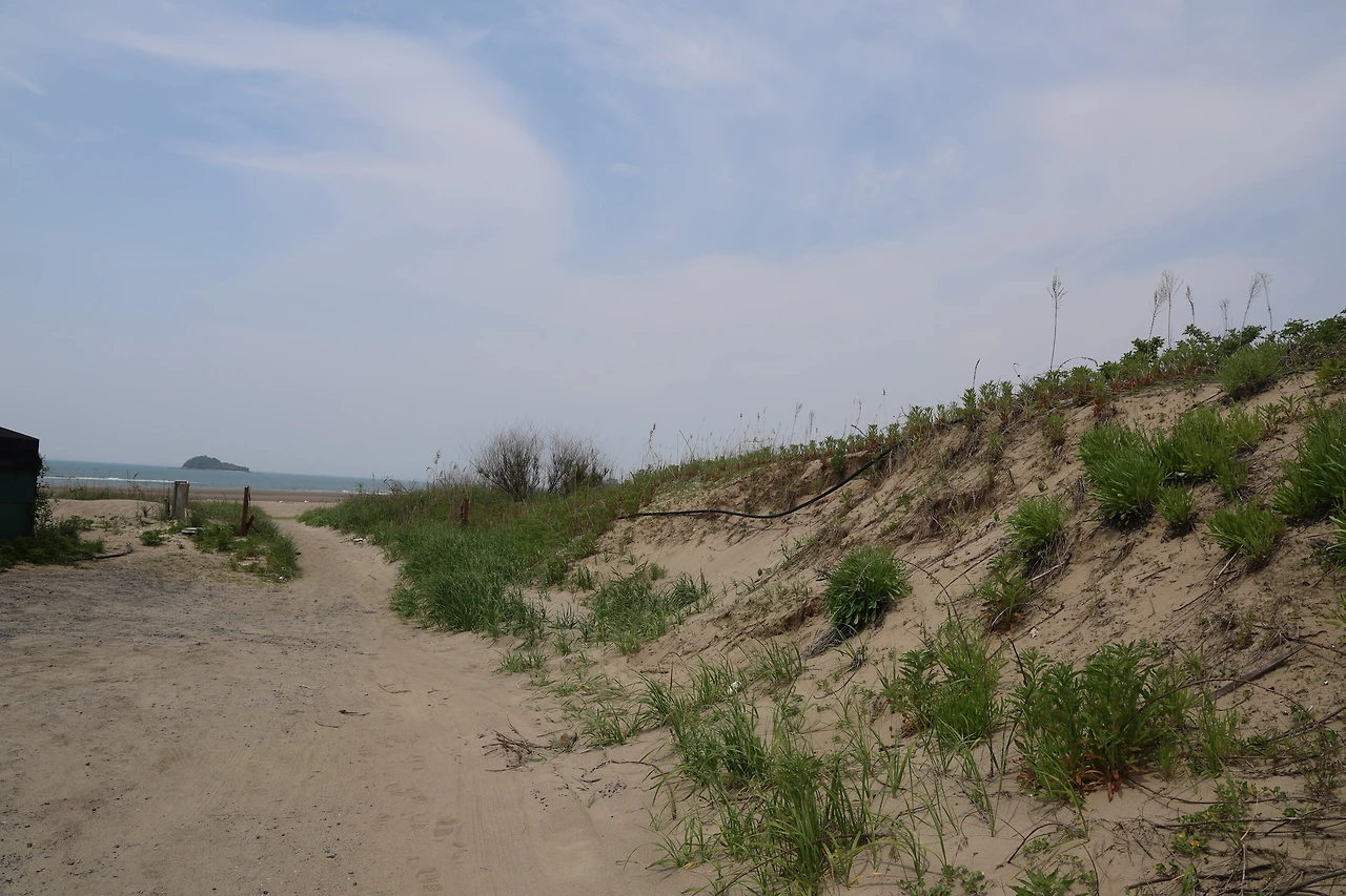 0R5A0382_новый размер.JPG