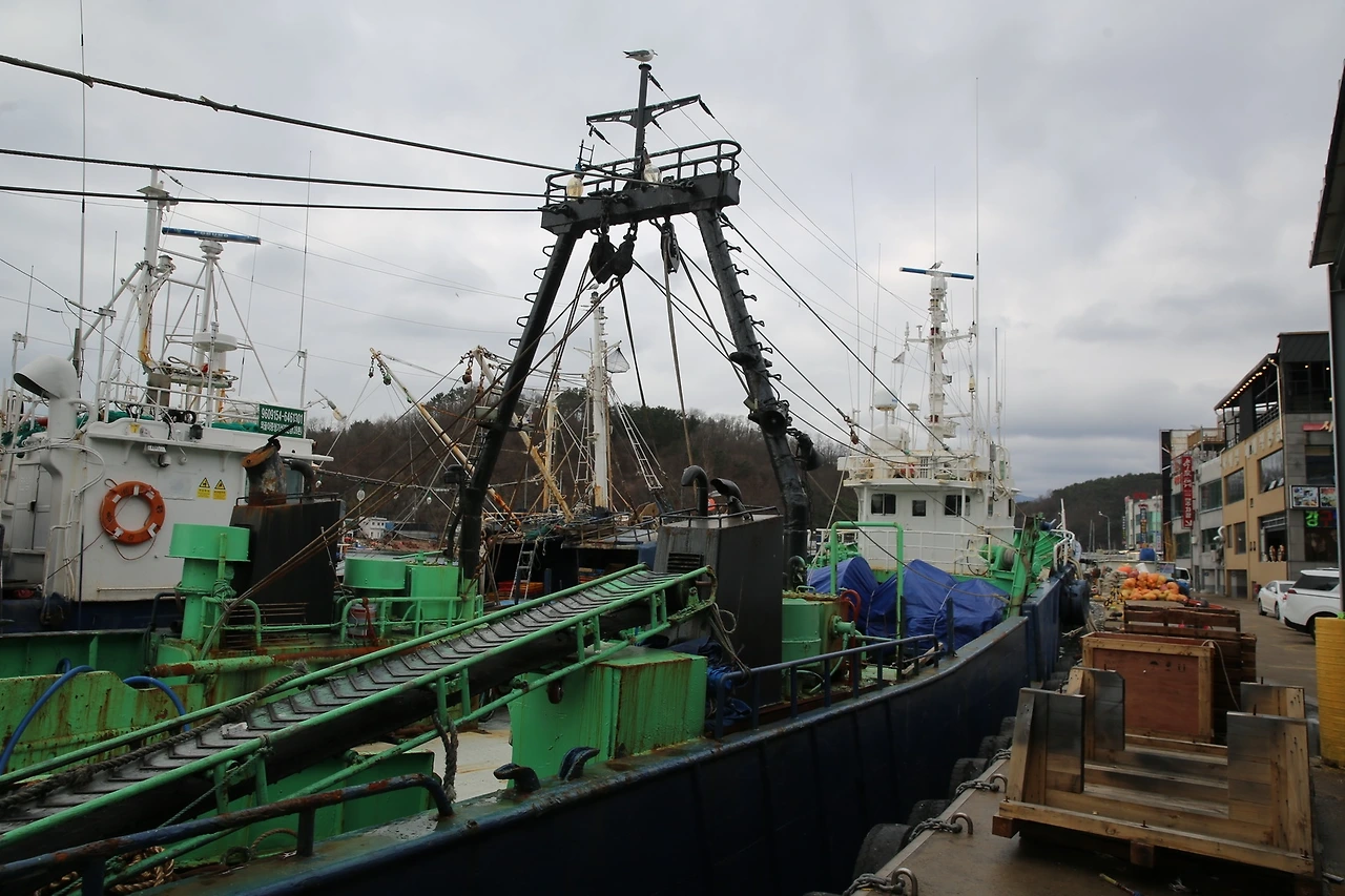 MG0A2614_новый размер.JPG