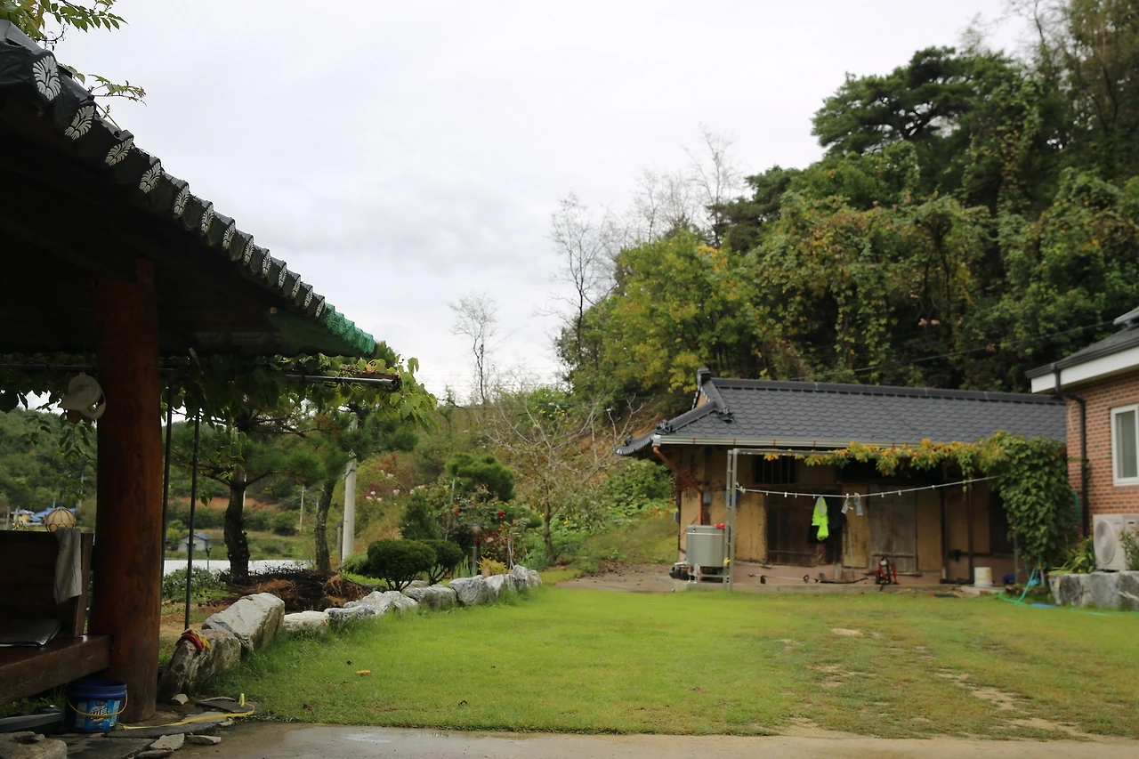 MG0A6384_новый размер.JPG