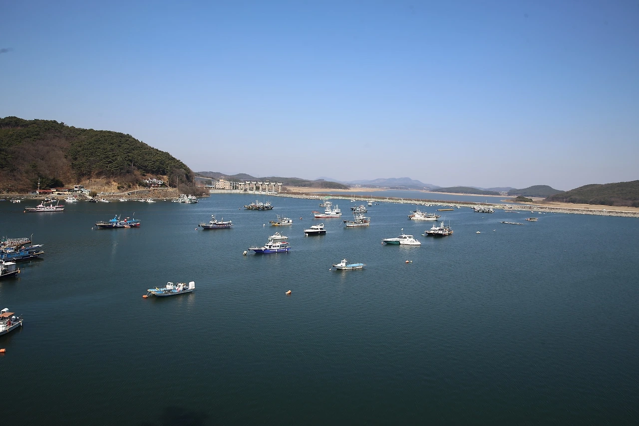 MG0A3380_новый размер.JPG