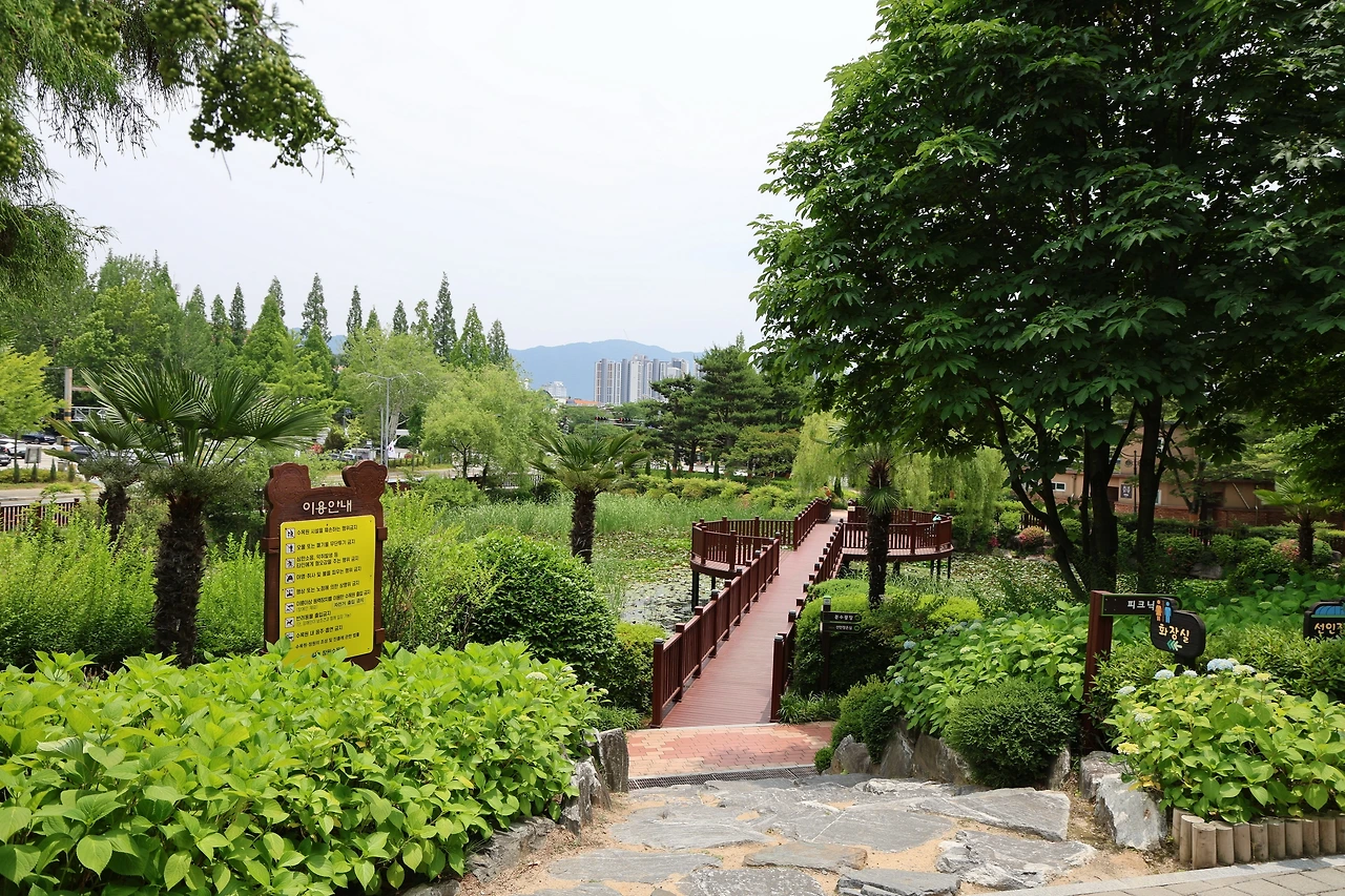 0R5A4564_новый размер.JPG