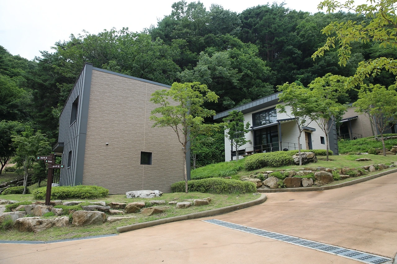 MG0A6551_новый размер.JPG