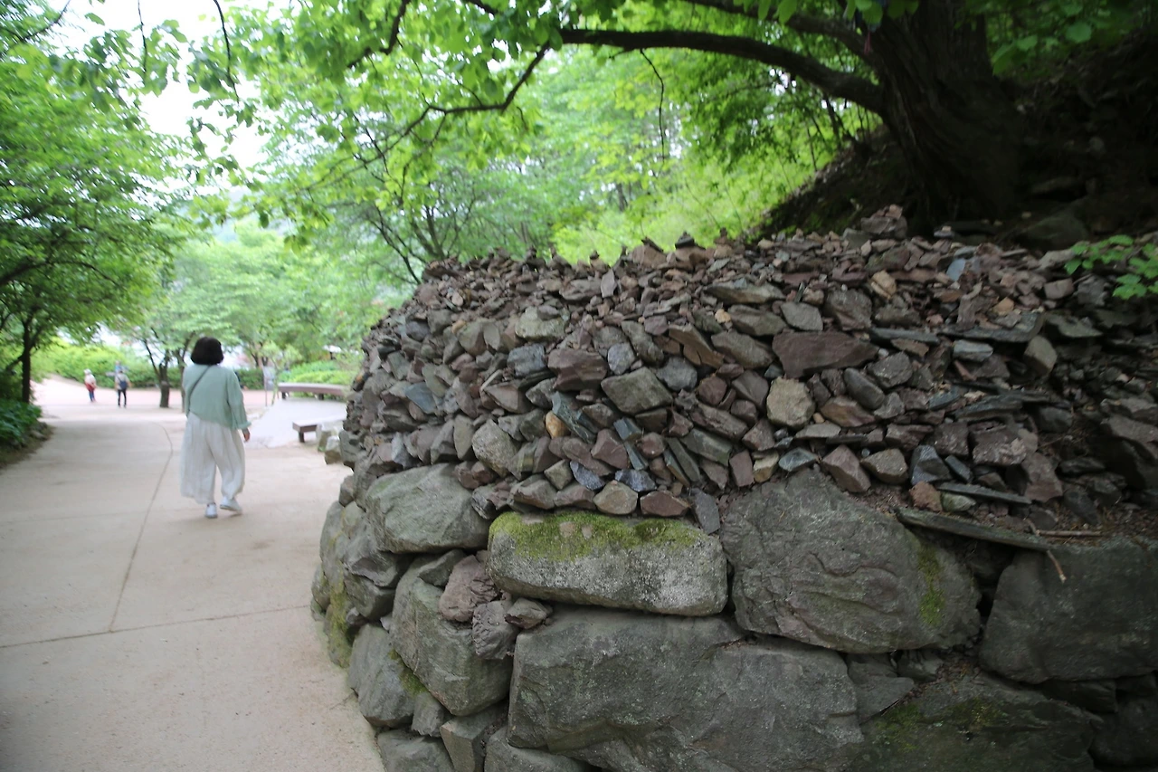 MG0A1545_новый размер.JPG