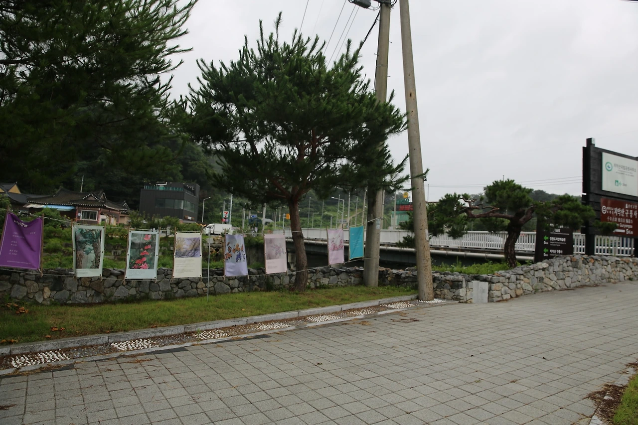 MG0A6190_новый размер.JPG