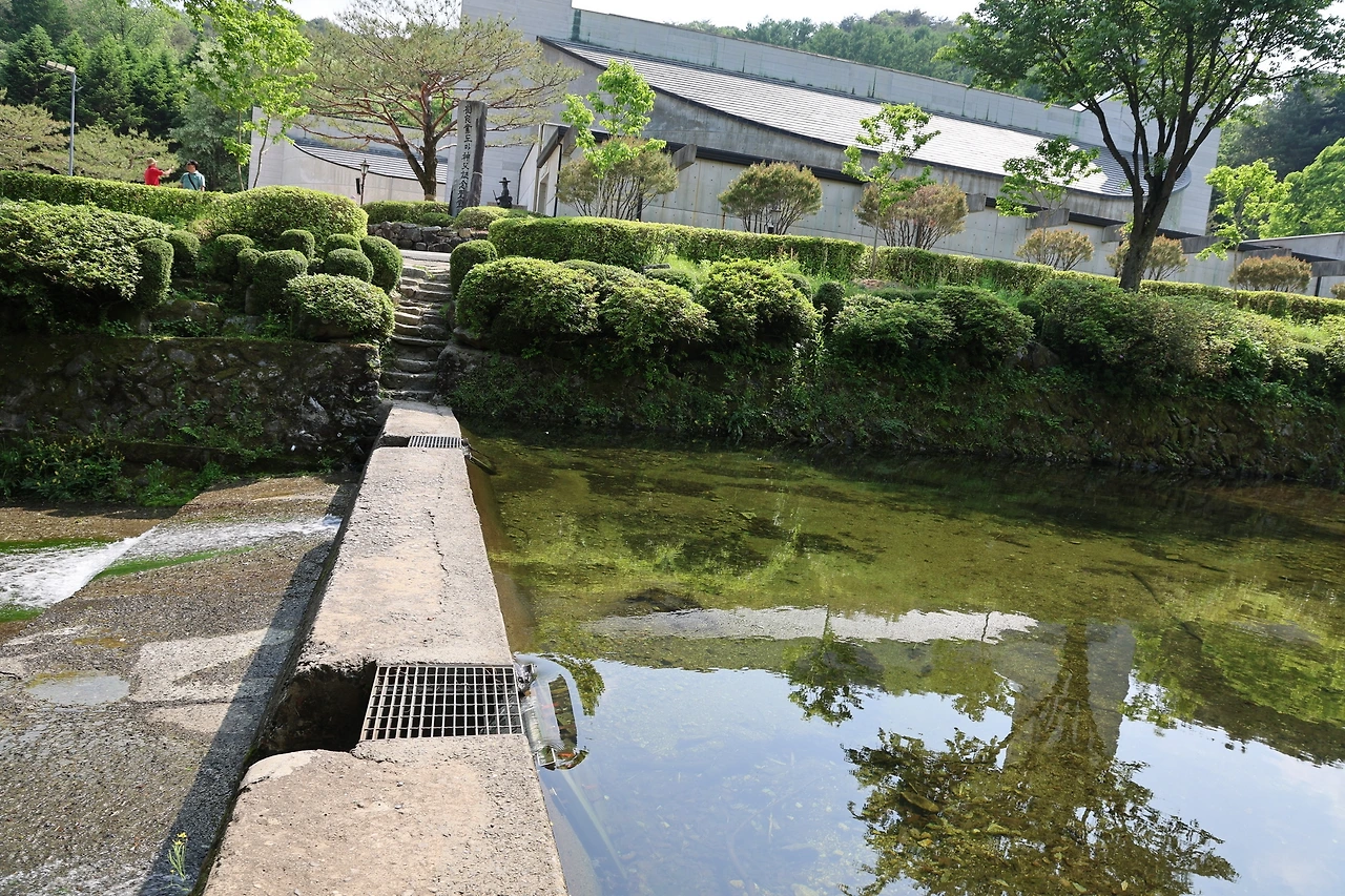 0R5A1486_новый размер.JPG