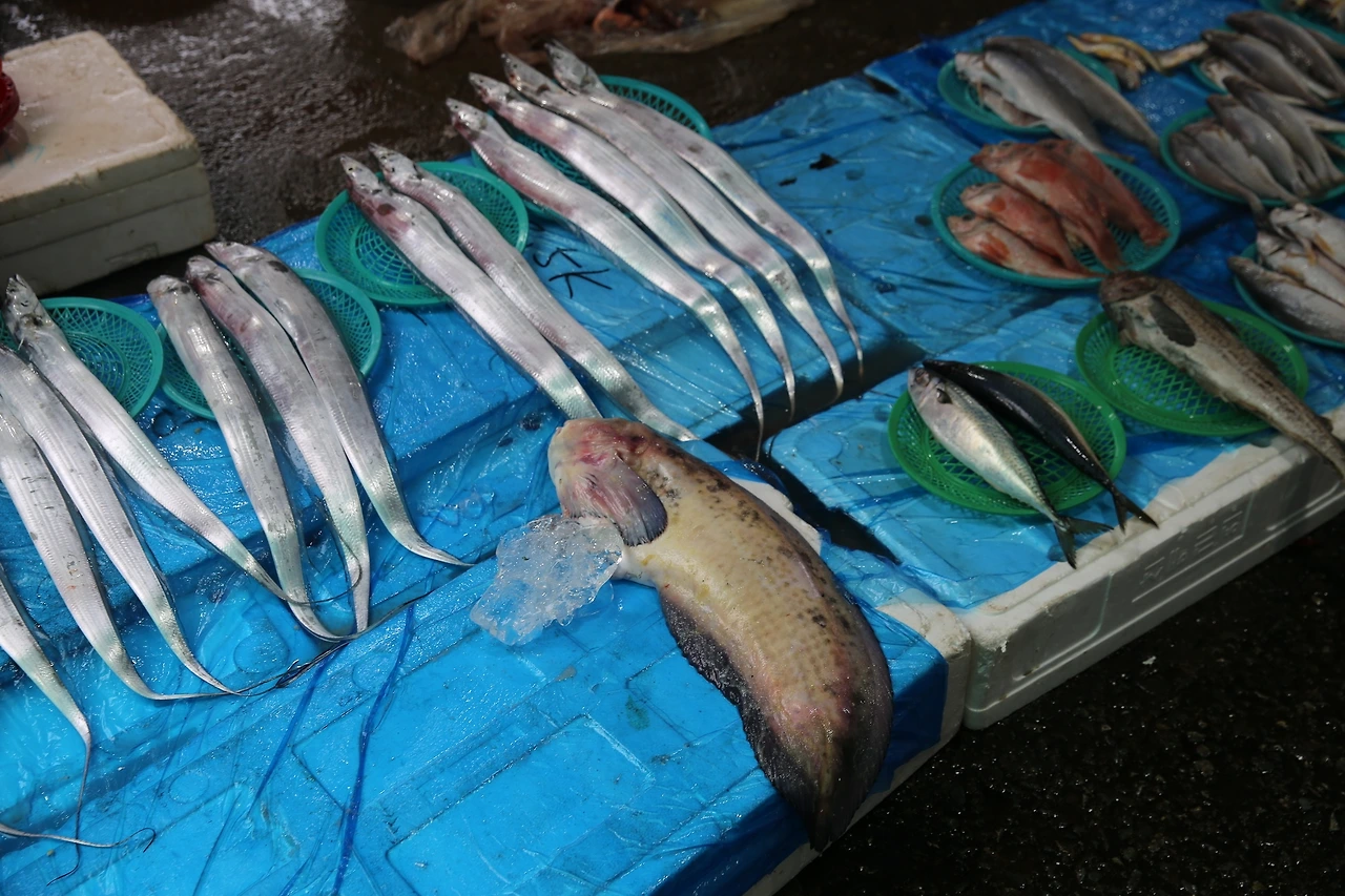 MG0A0441_новый размер.JPG