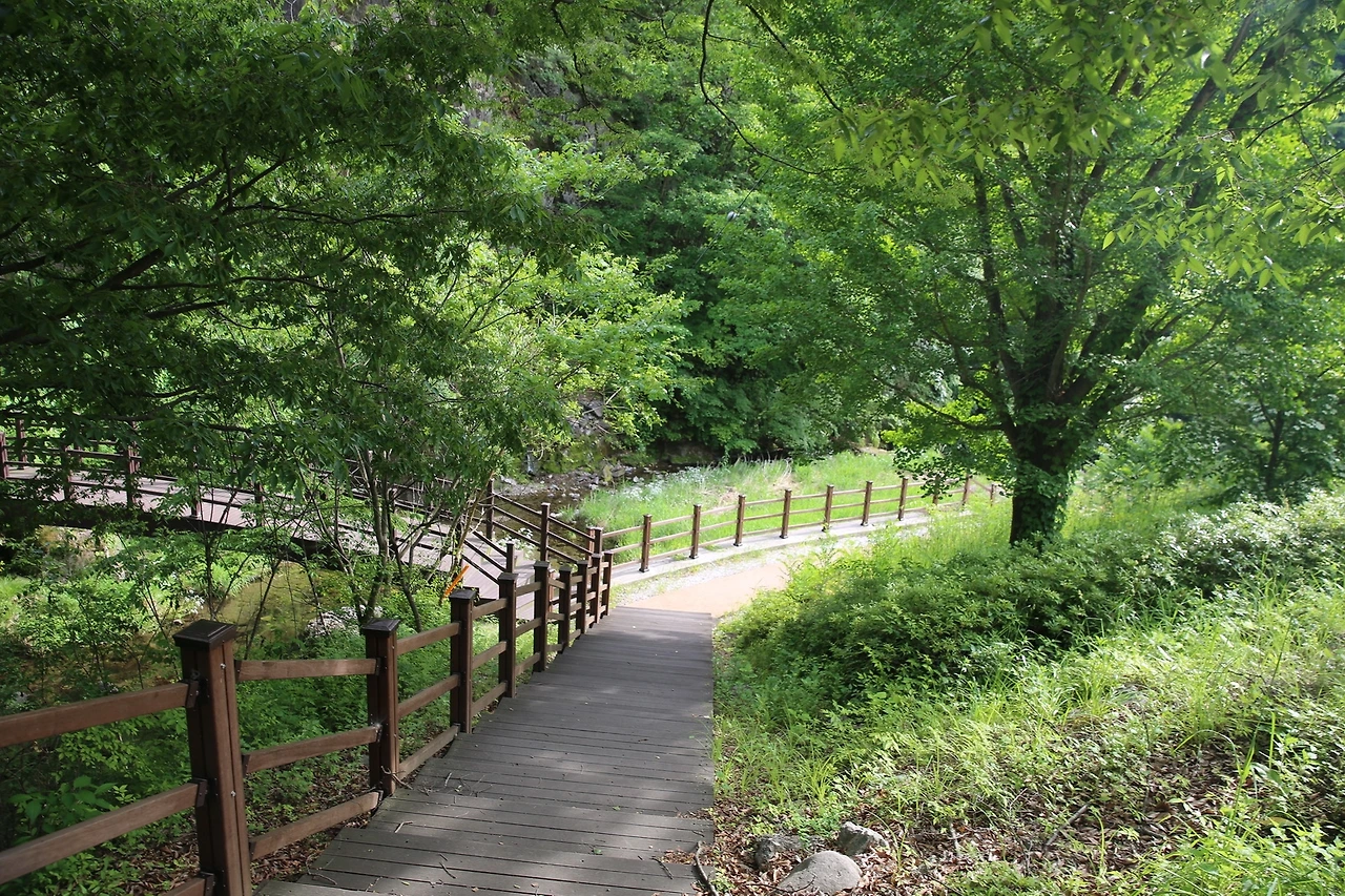 MG0A9880_новый размер.JPG