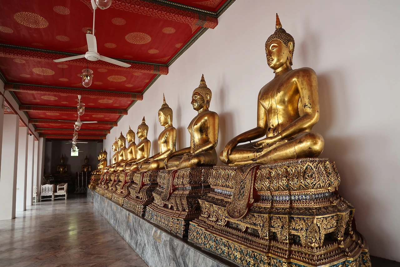 0R5A0447_новый размер.JPG