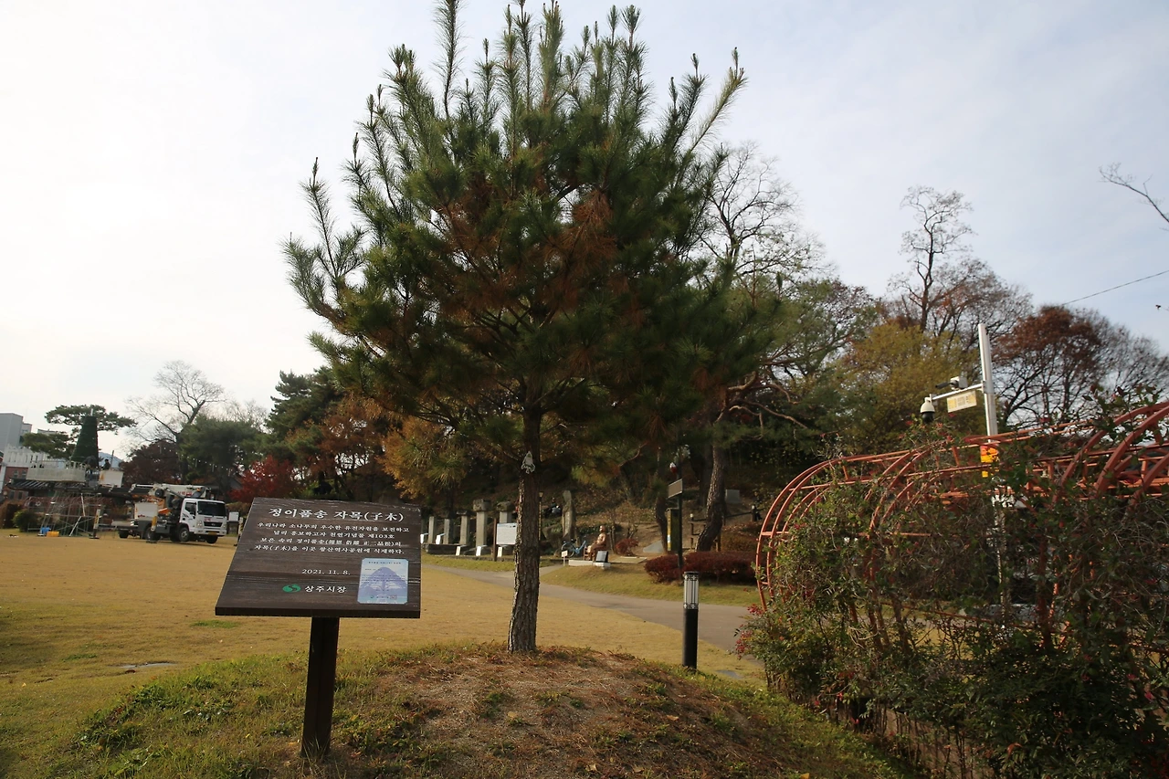 MG0A1745_новый размер.JPG