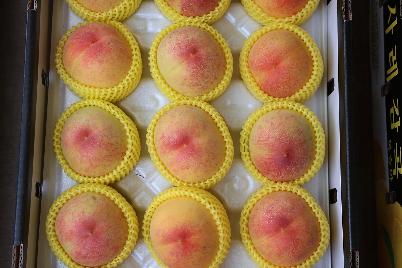 0R5A7650_новый размер.JPG