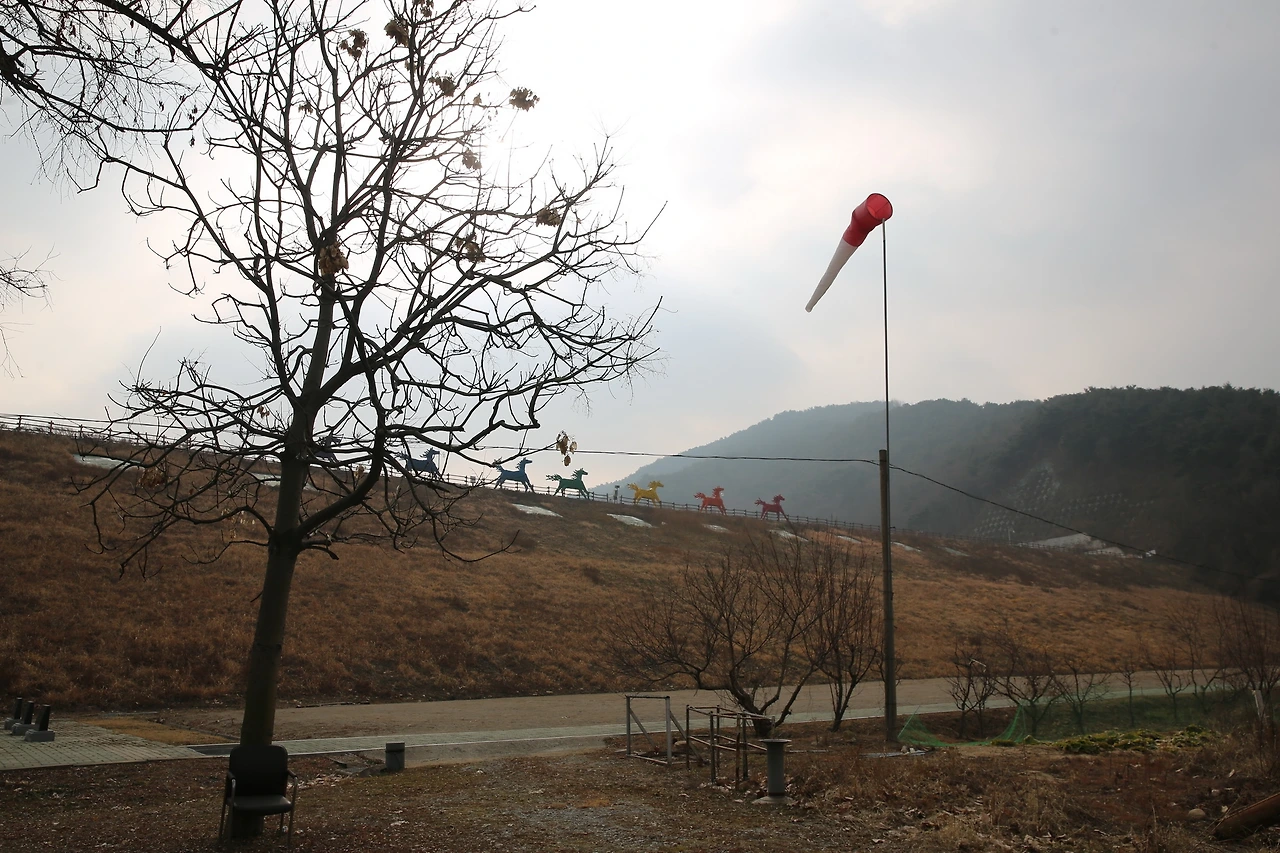 MG0A6685_новый размер.JPG