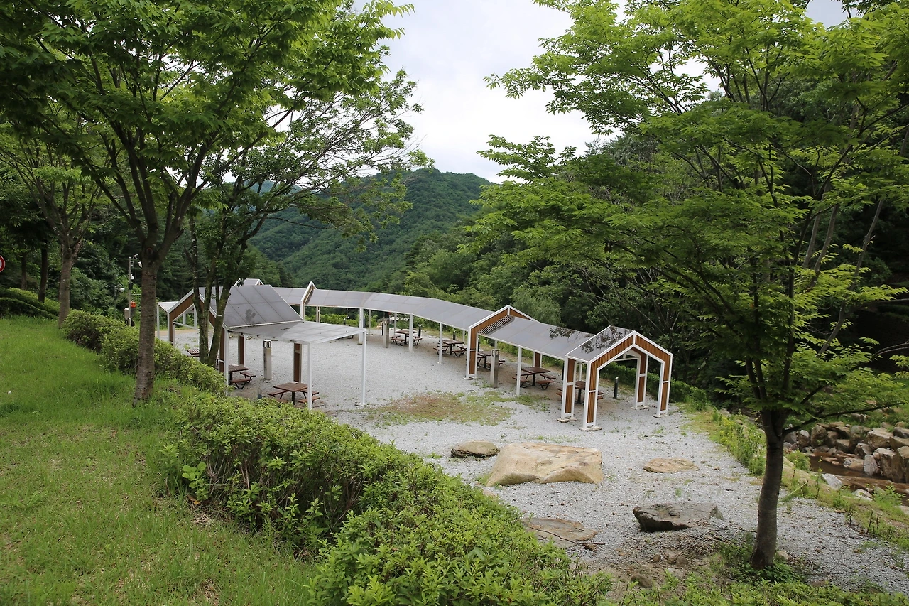 MG0A6546_новый размер.JPG