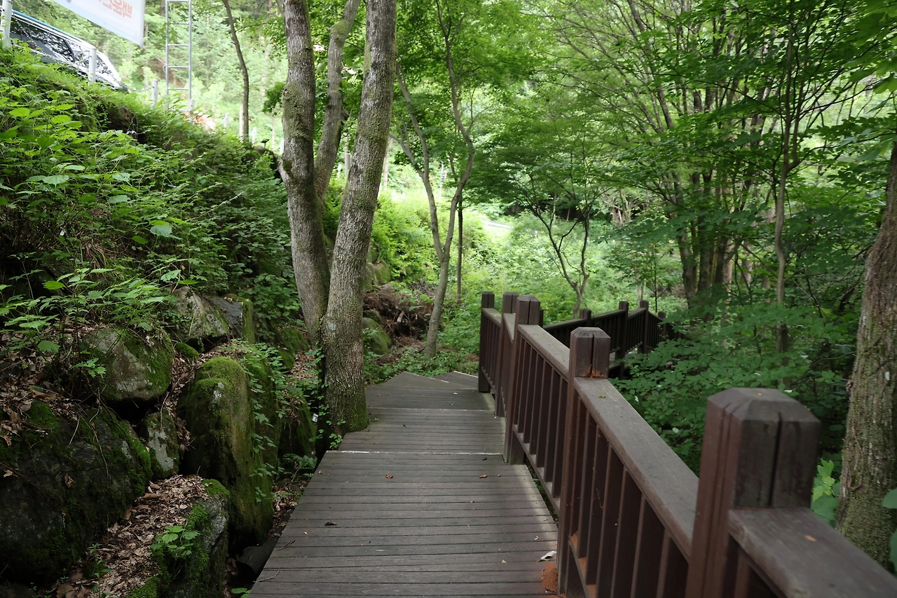 0R5A7529_новый размер.JPG