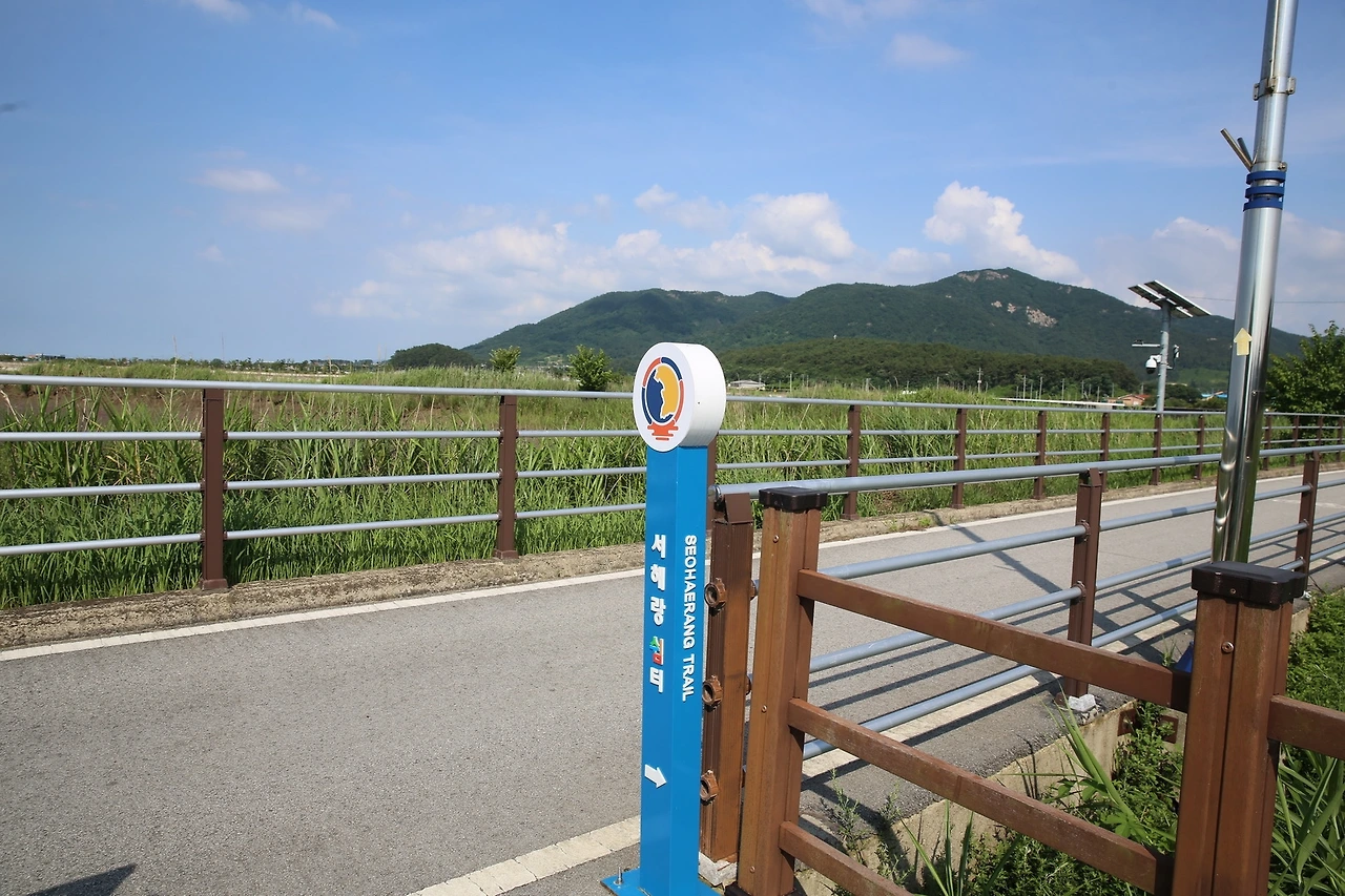 MG0A4607_новый размер.JPG