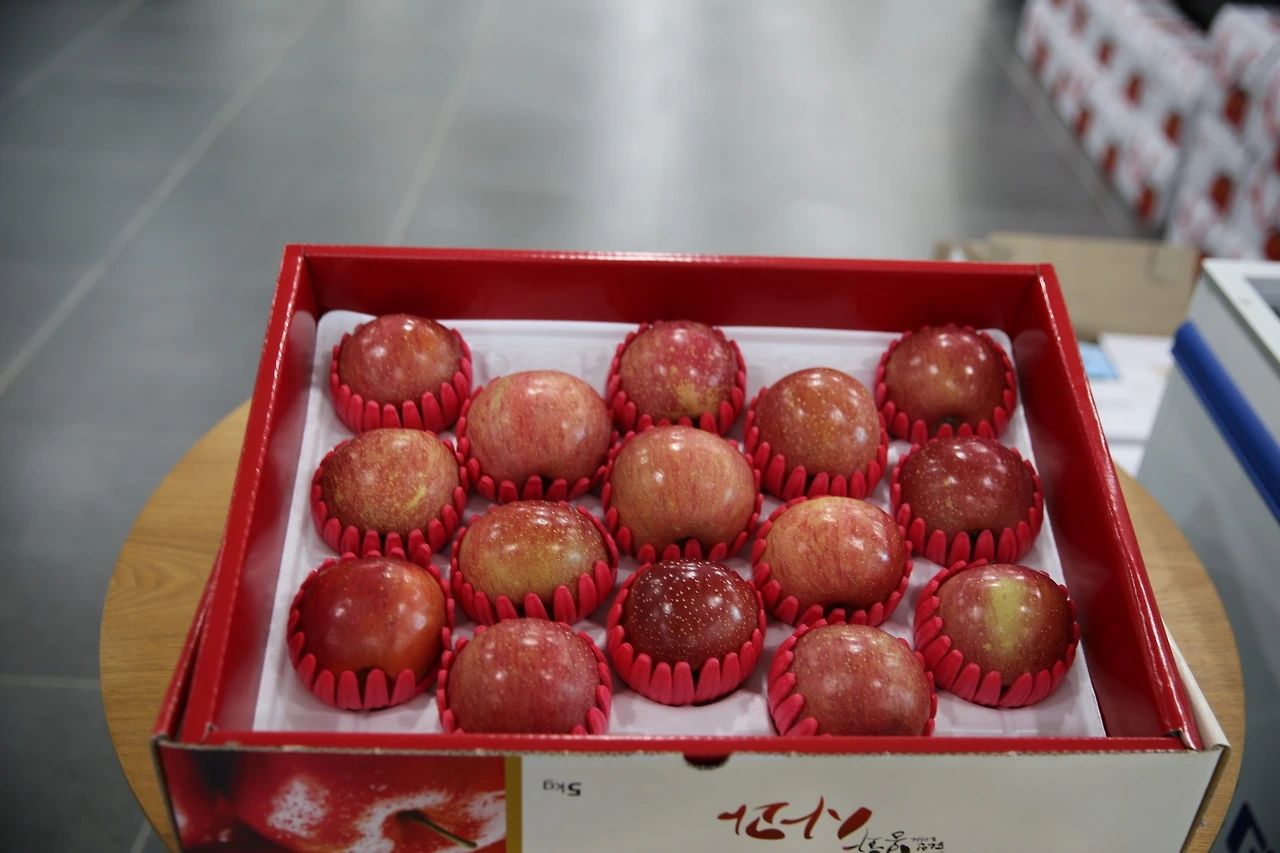 MG0A8207_новый размер.JPG