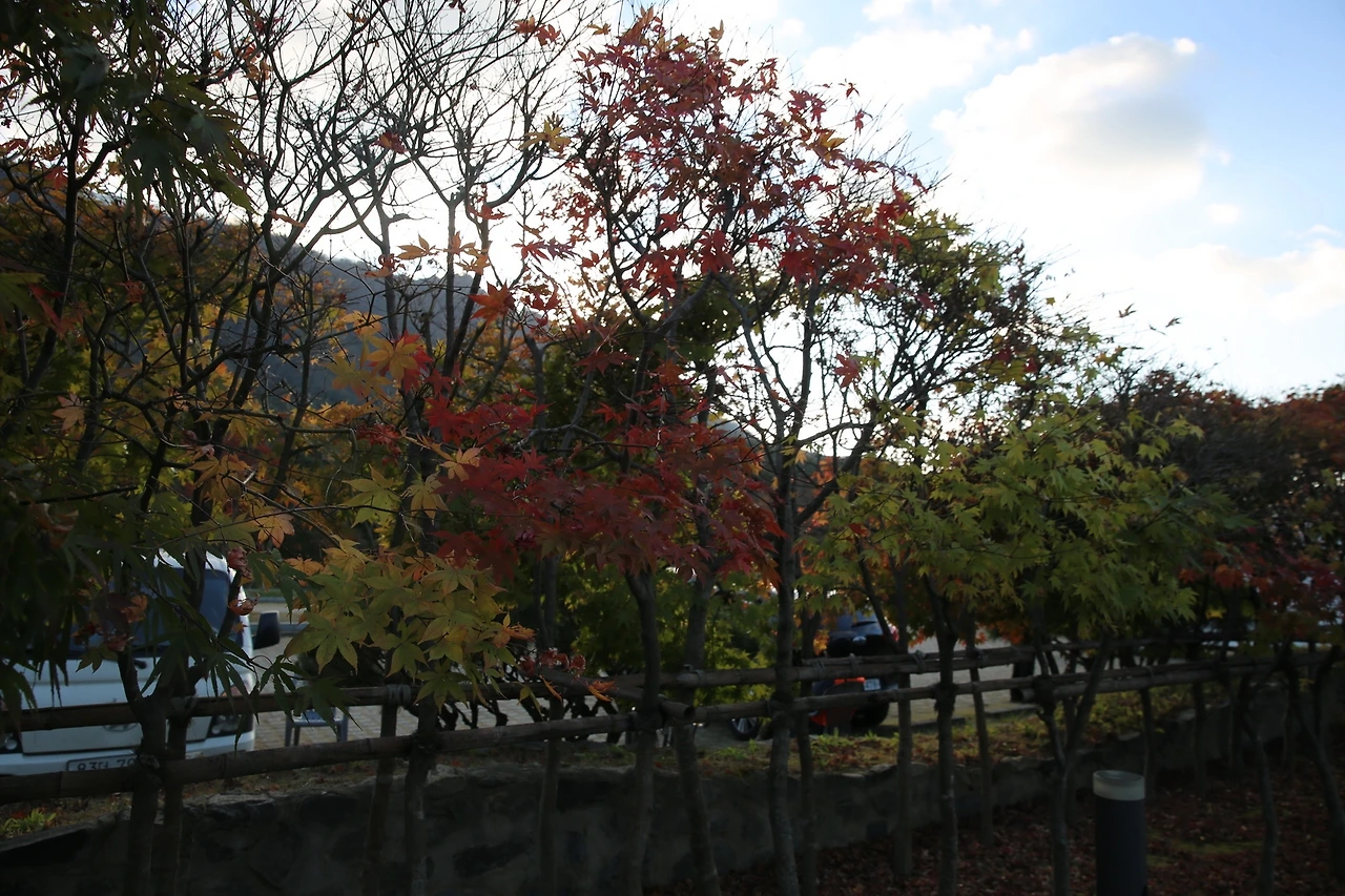 MG0A0645_новый размер.JPG