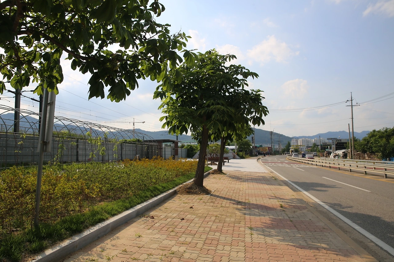 MG0A1611_новый размер.JPG