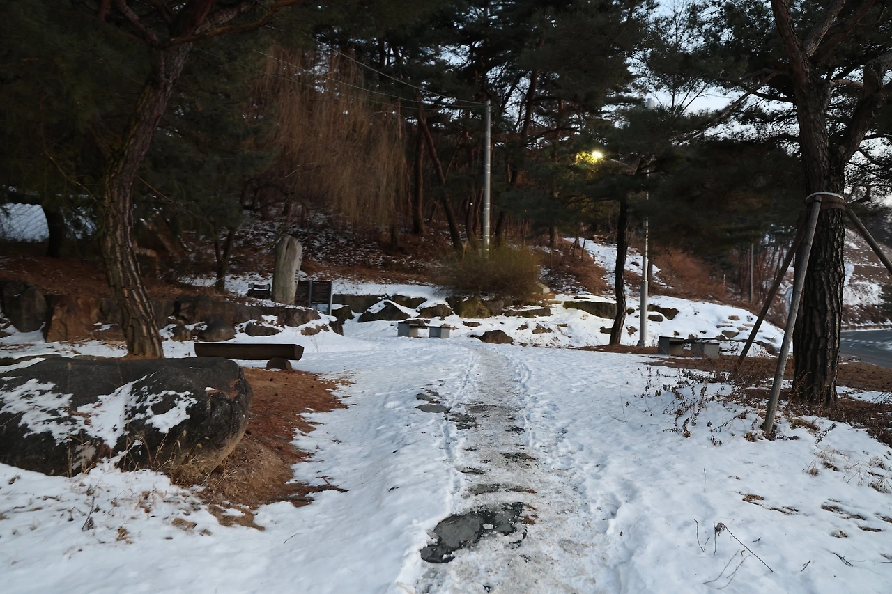 0R5A8259_новый размер.JPG