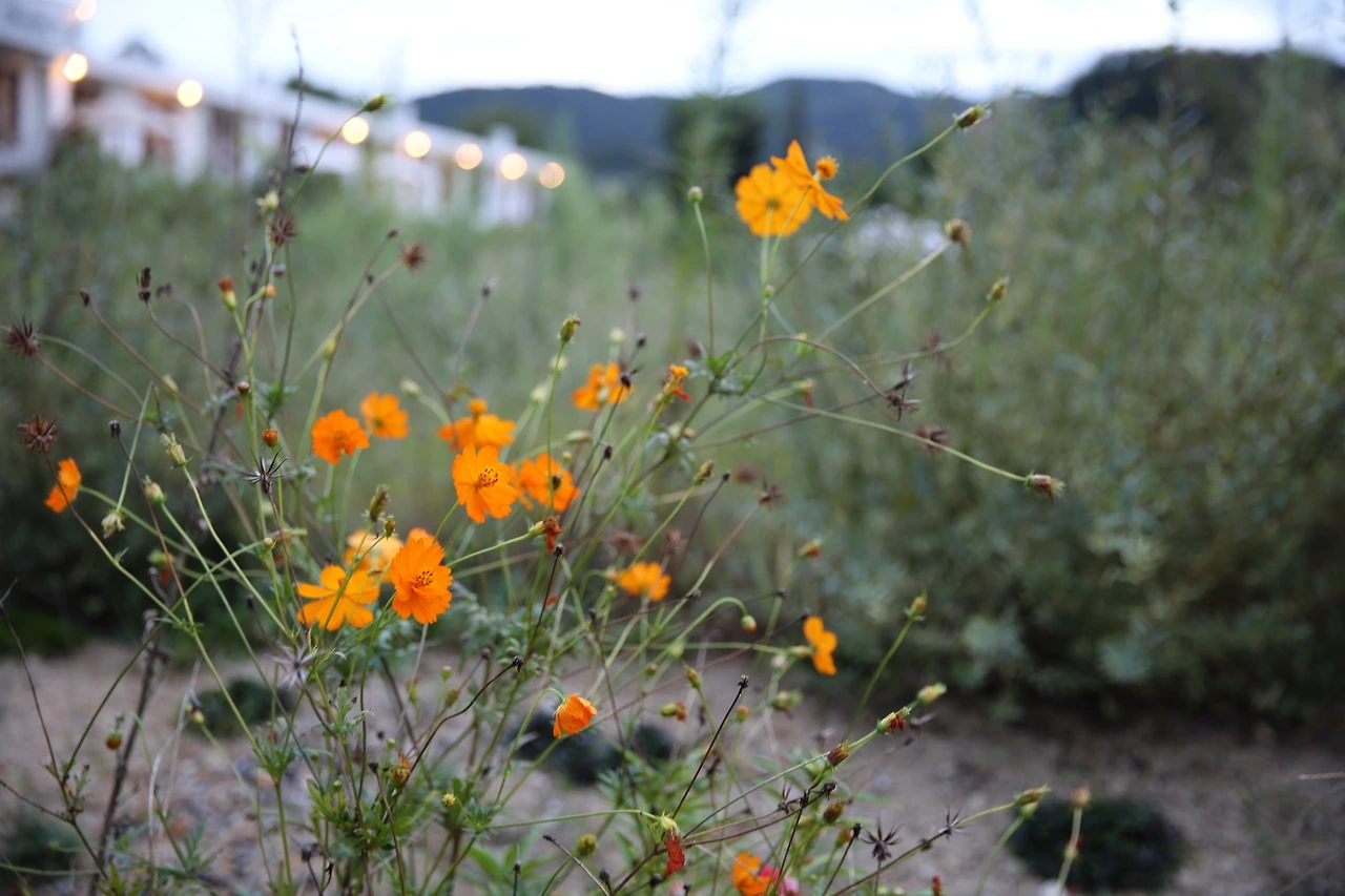 MG0A0613_новый размер.JPG