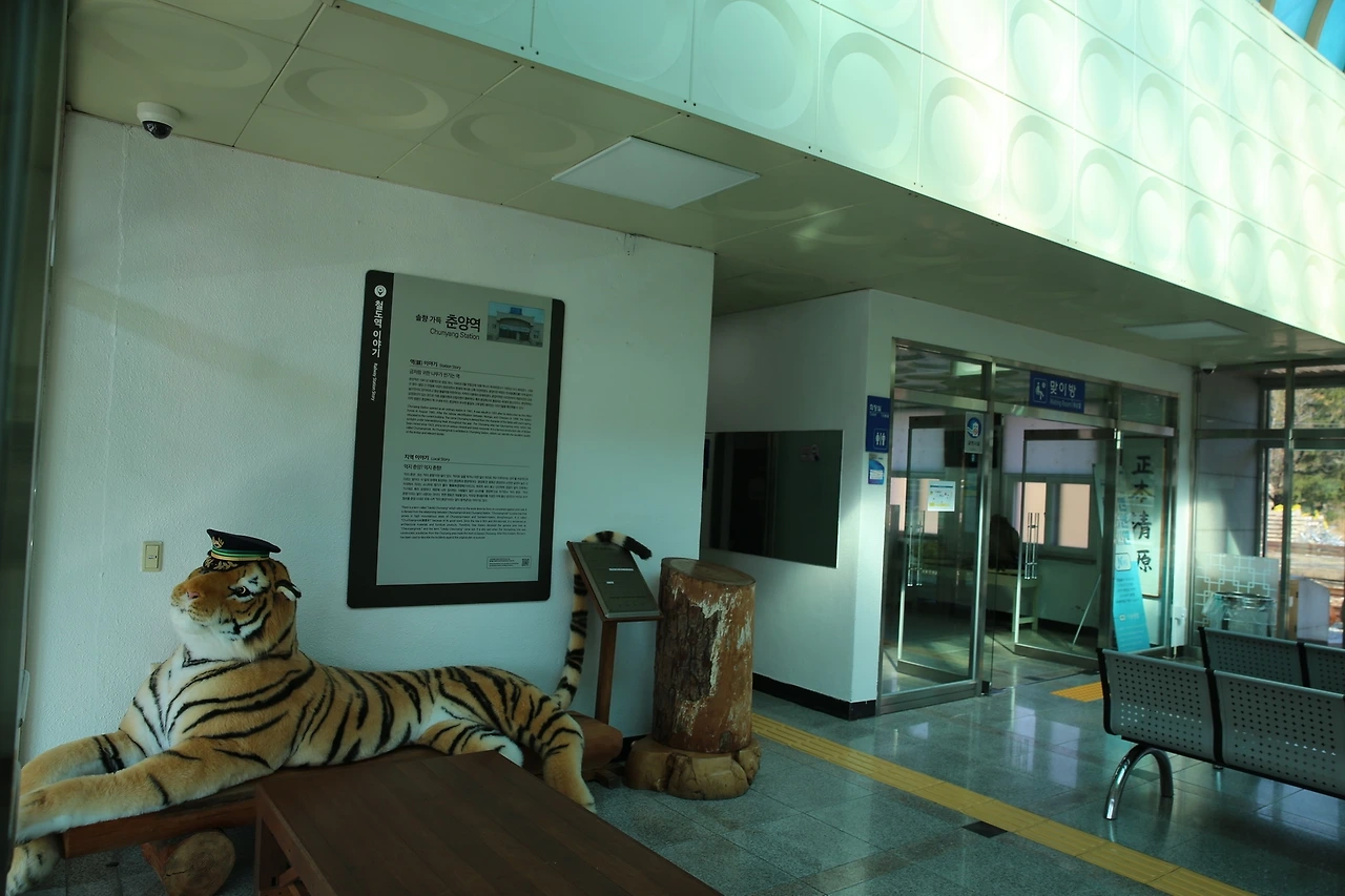 MG0A8314_новый размер.JPG