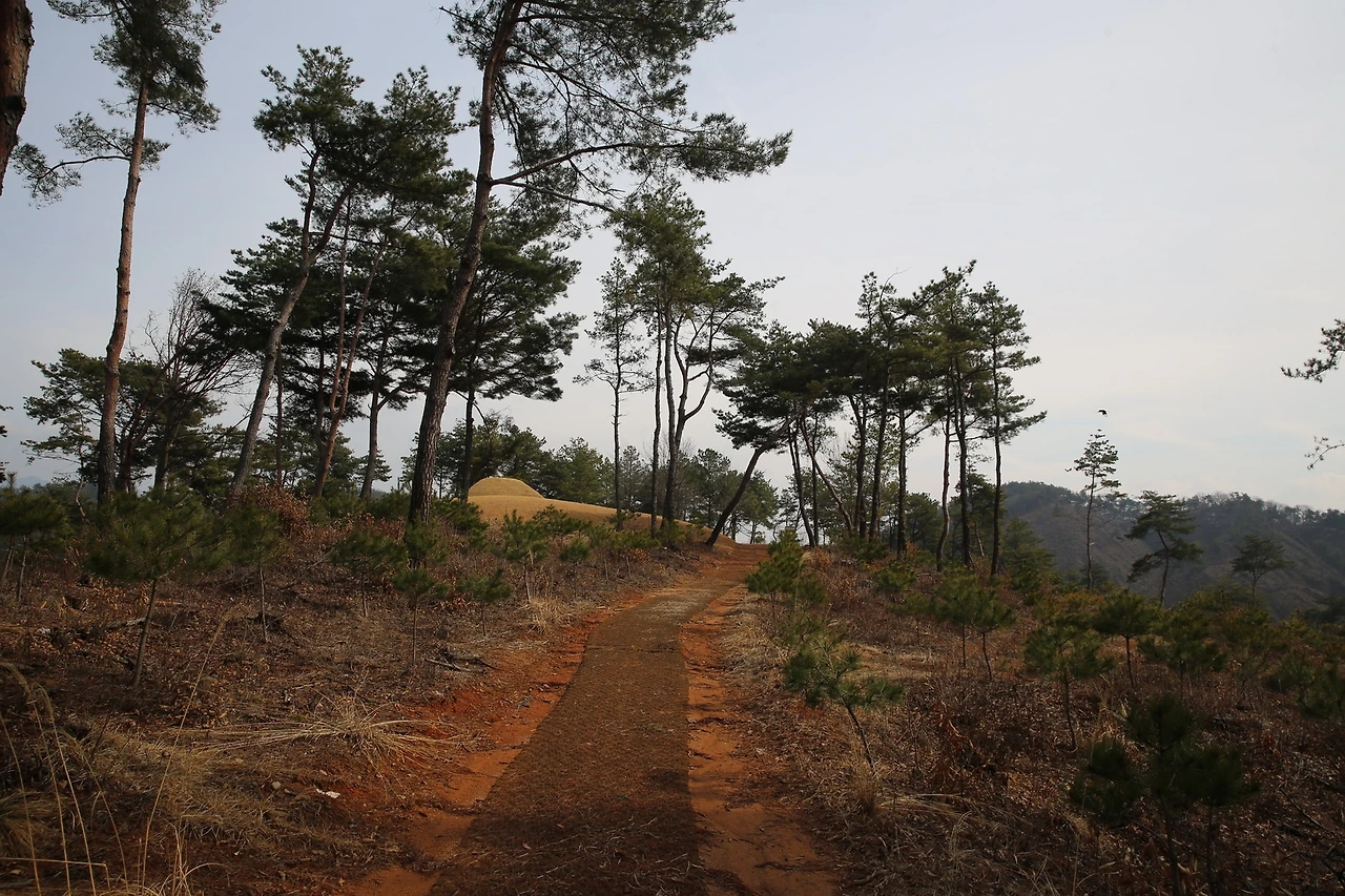 MG0A1514_новый размер.JPG