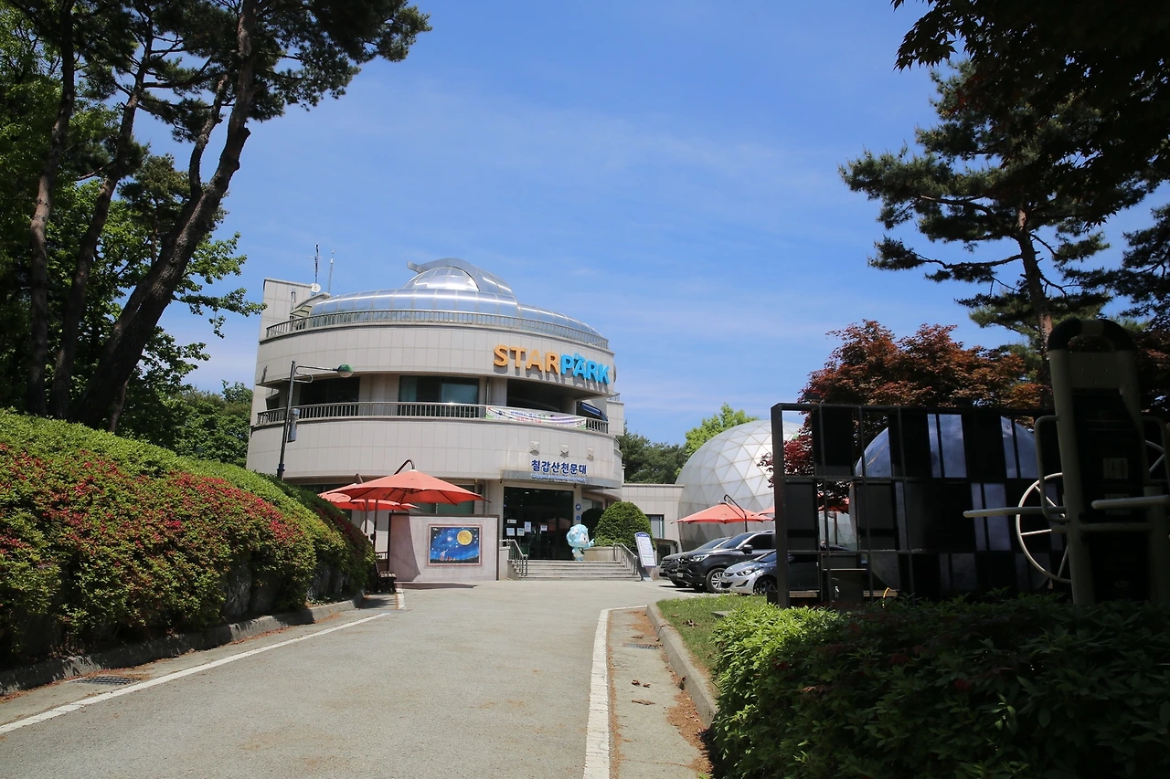 MG0A2589_новый размер.JPG