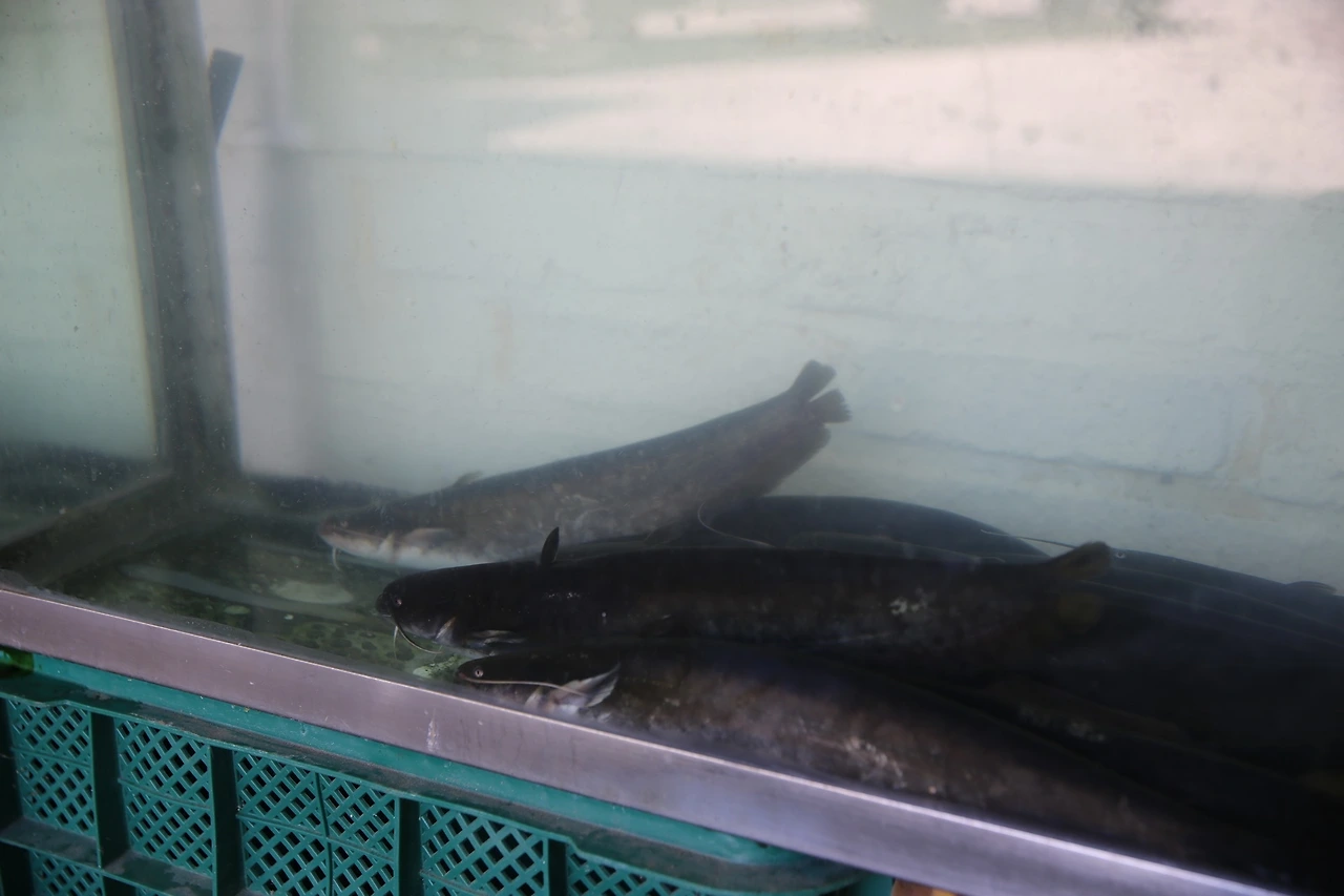 MG0A2955_новый размер.JPG