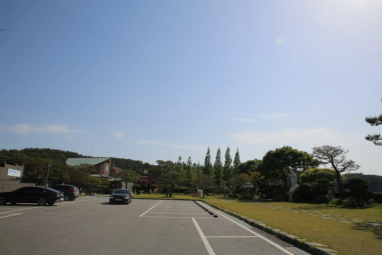 MG0A3953_новый размер.JPG