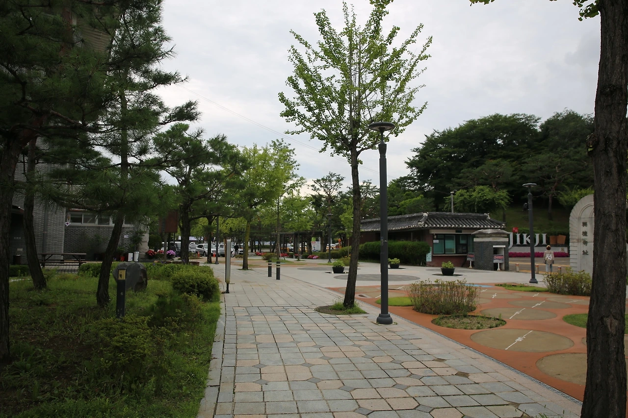 MG0A4818_новый размер.JPG