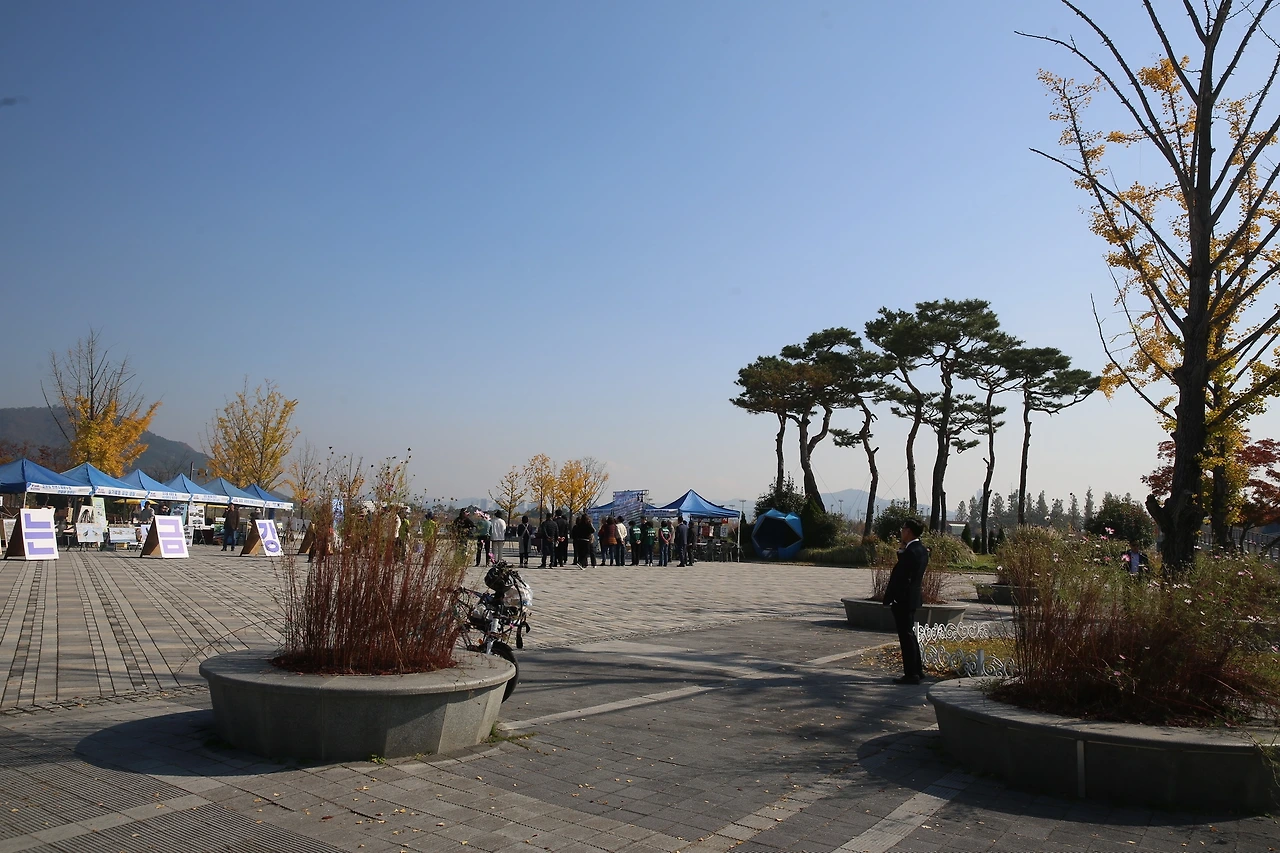 MG0A9468_новый размер.JPG