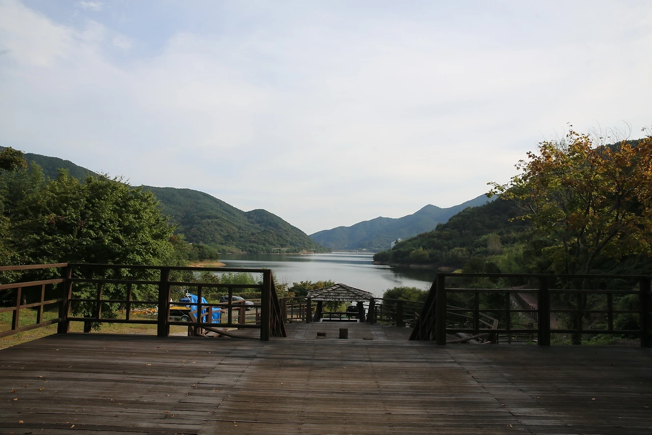 MG0A5854_новый размер.JPG